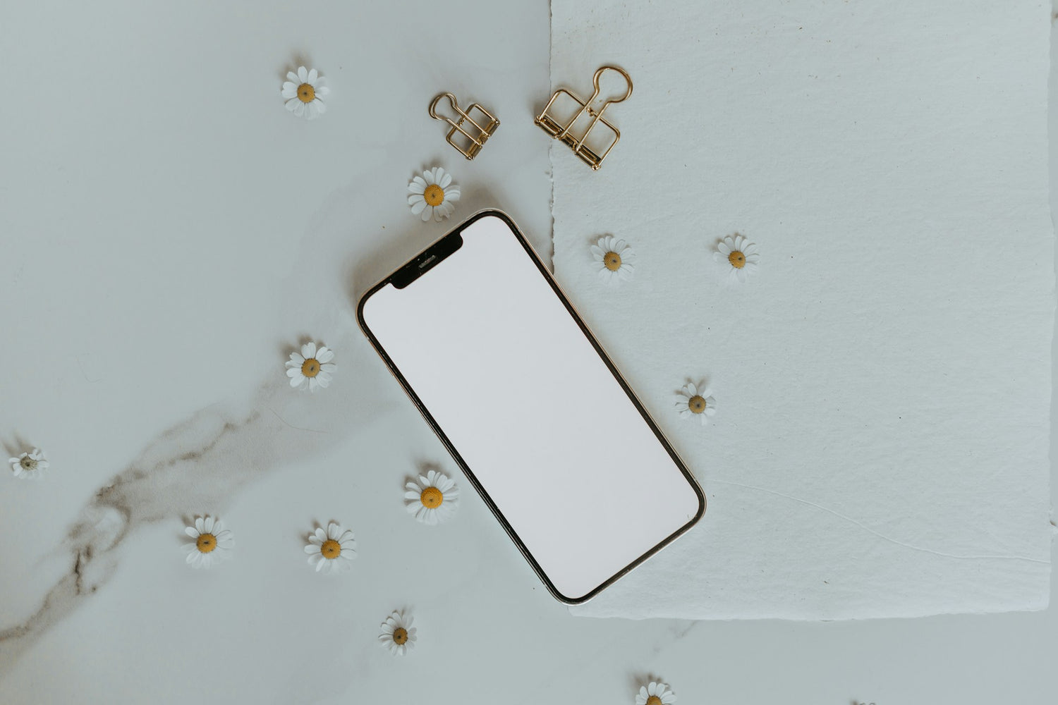 Butterfly Phone Case: Protect Your Phone in Style with Blanc Space
