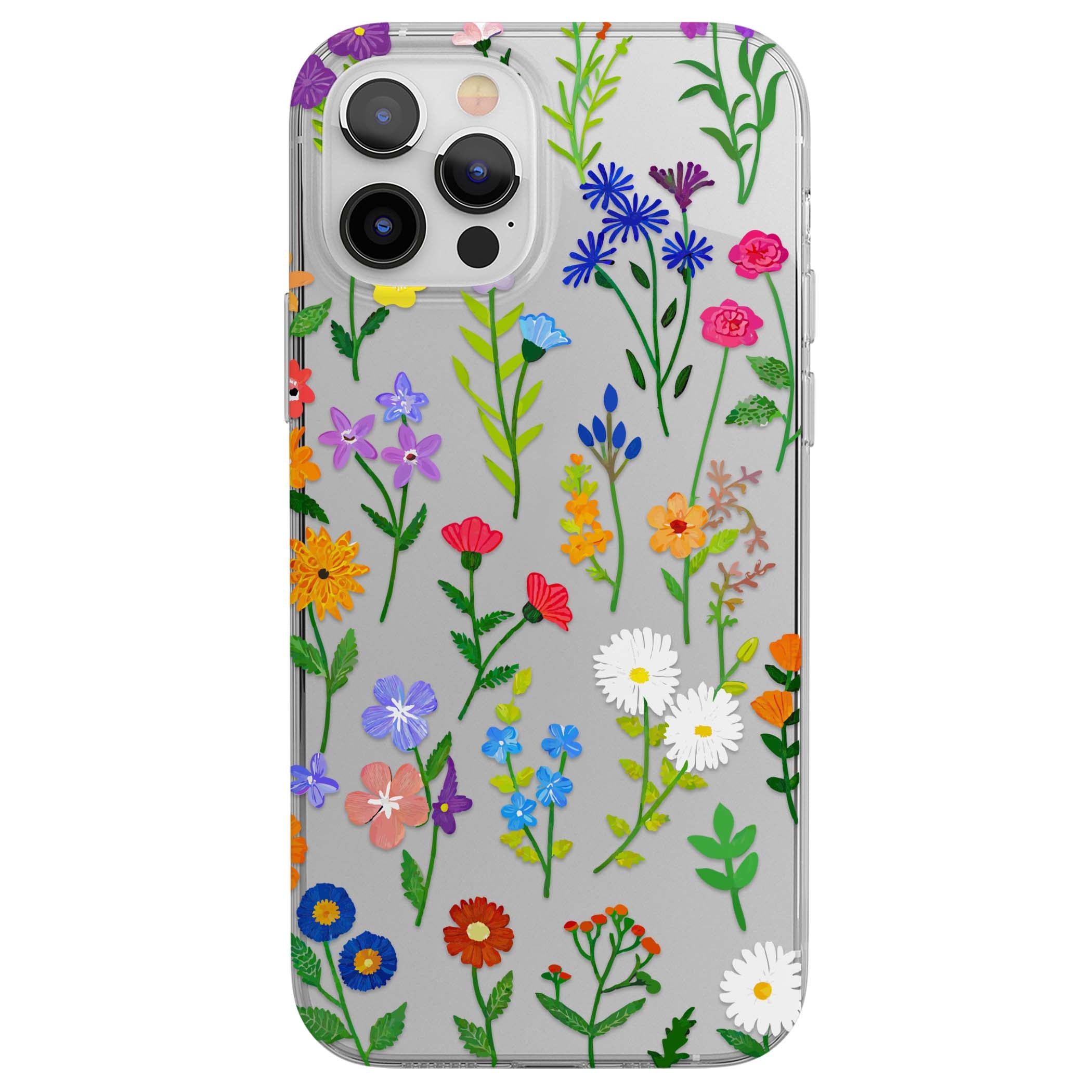 CLEAR CASE