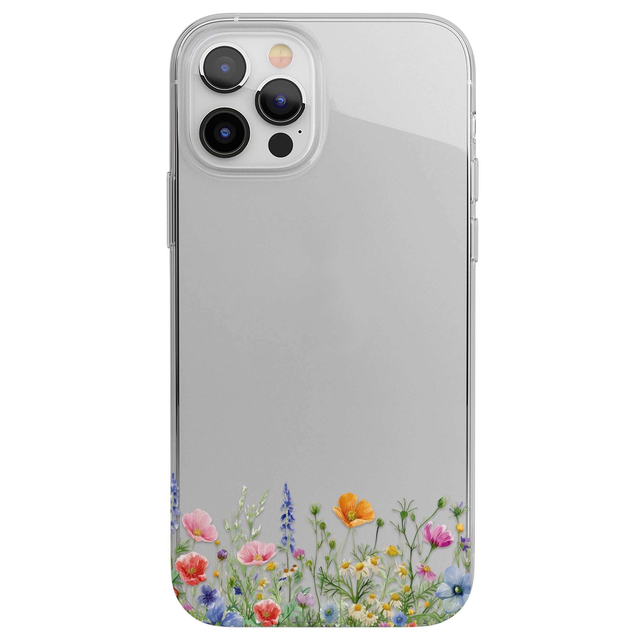CLEAR CASE