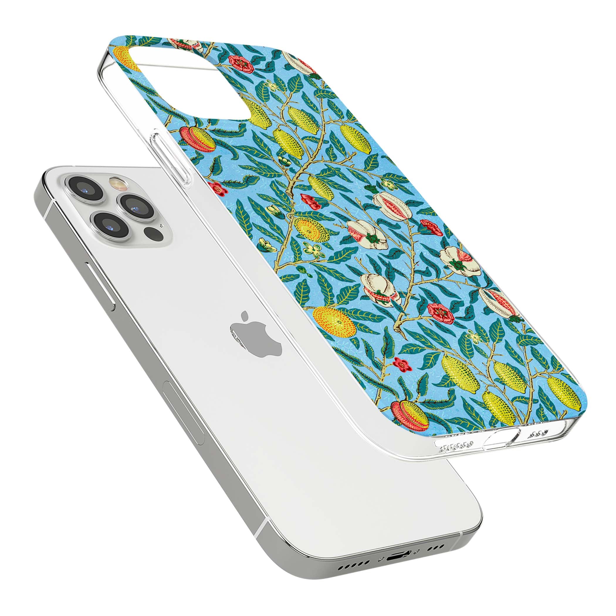 CLEAR CASE