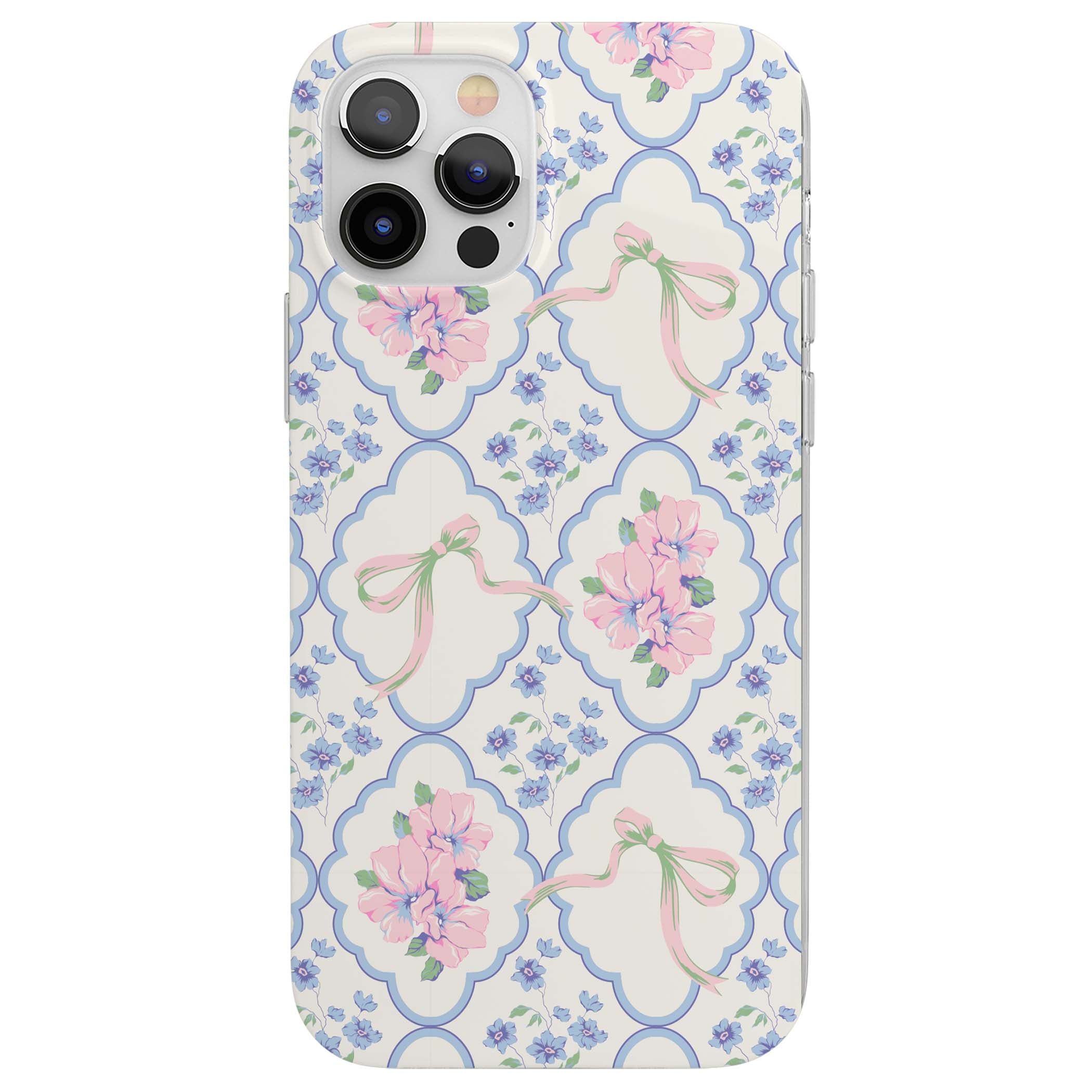 CLEAR CASE