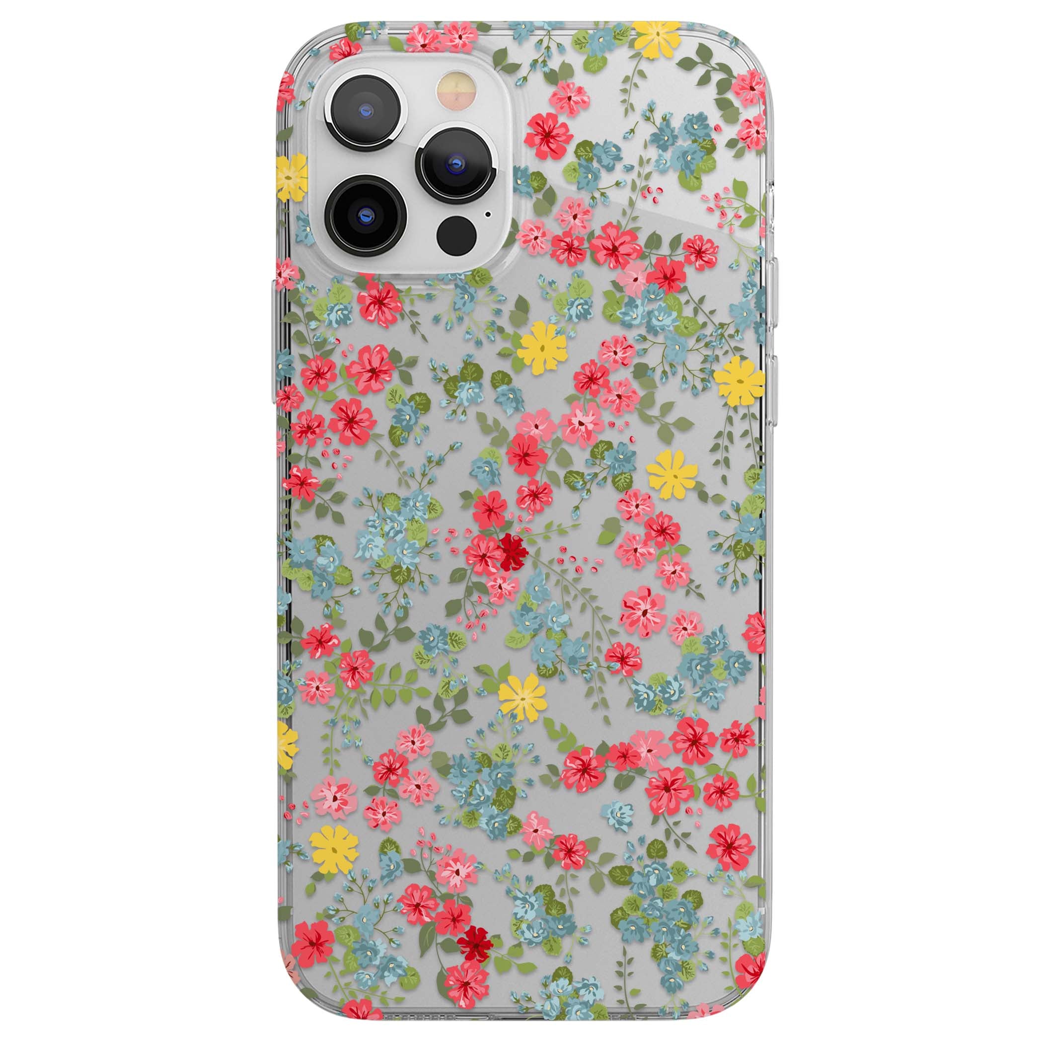CLEAR CASE