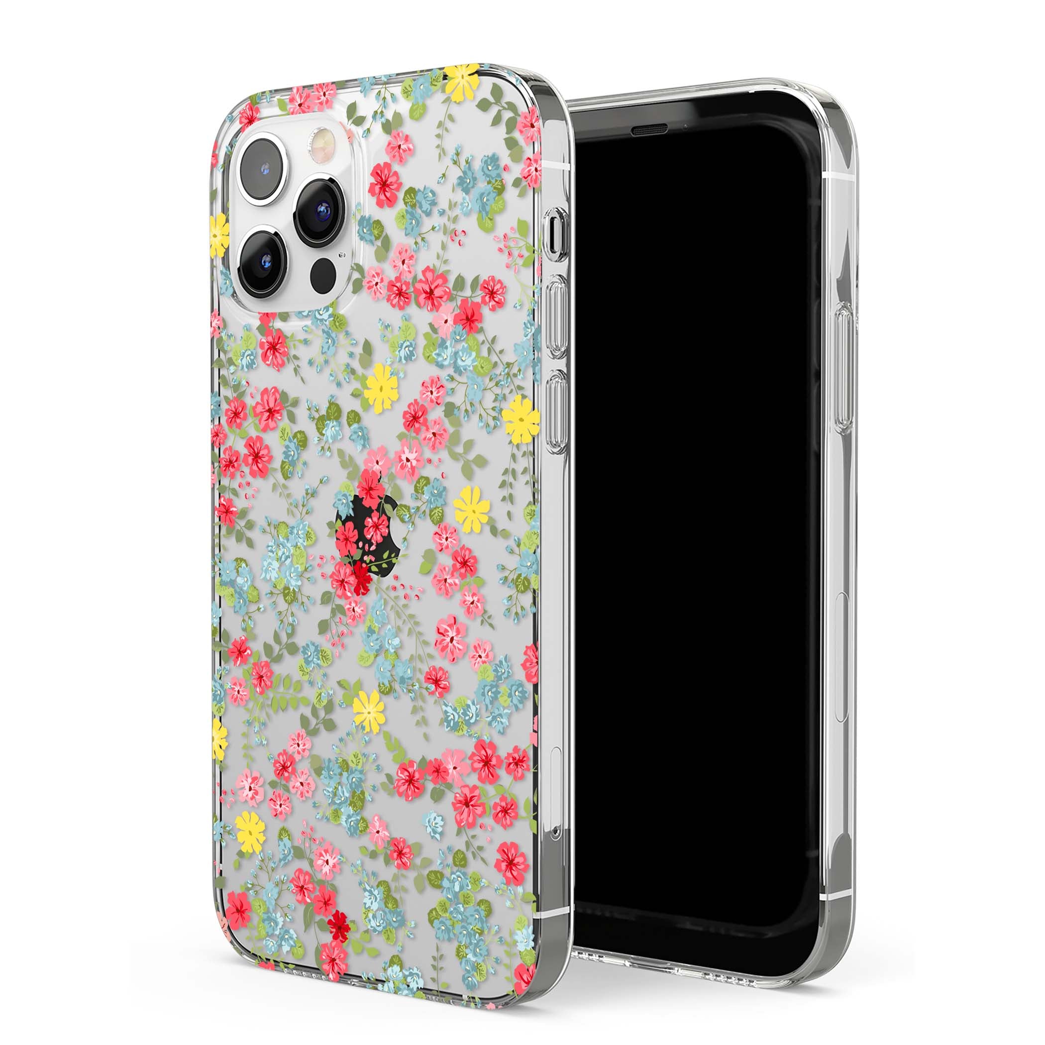 CLEAR CASE
