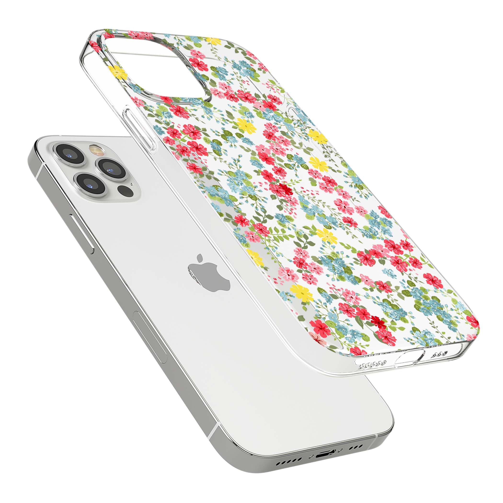CLEAR CASE