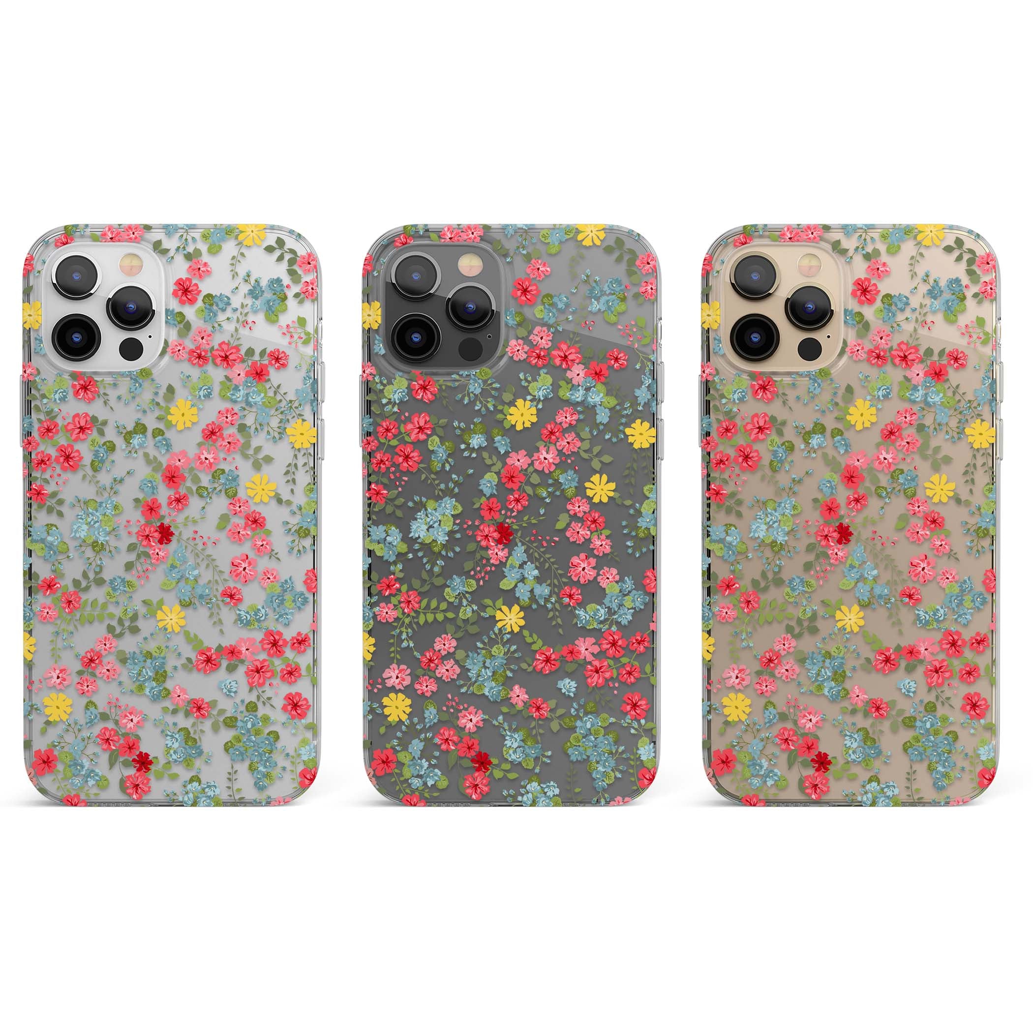 CLEAR CASE