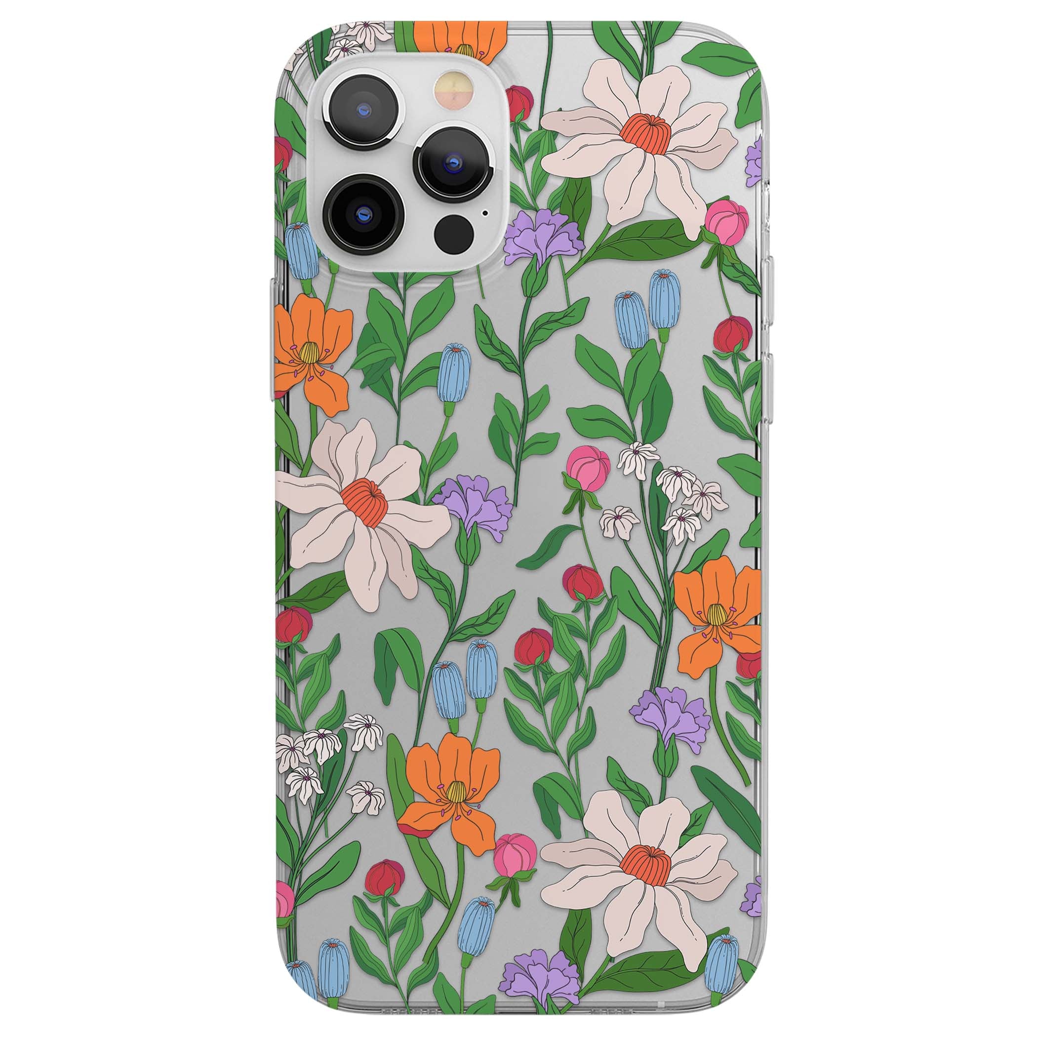 CLEAR CASE