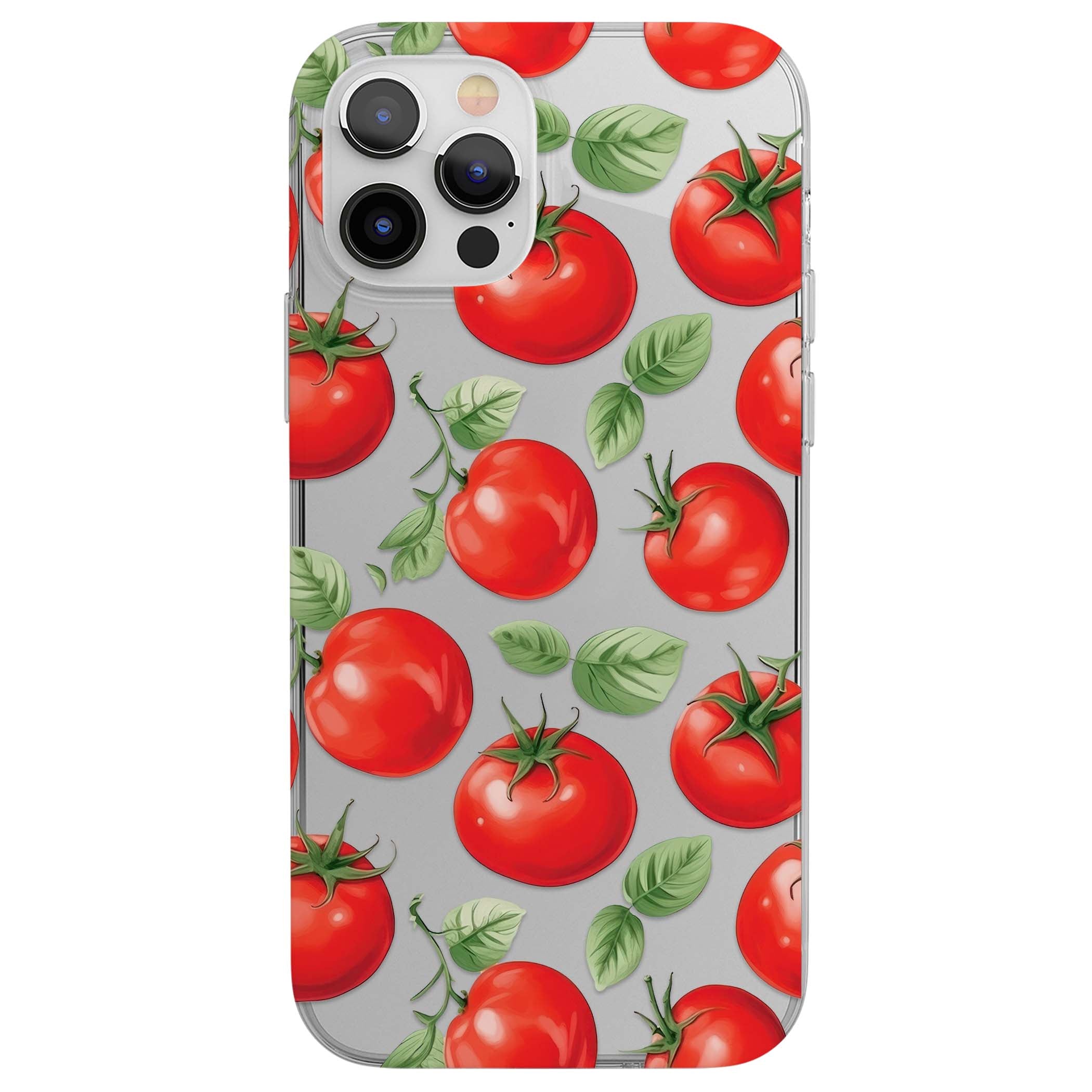 CLEAR CASE