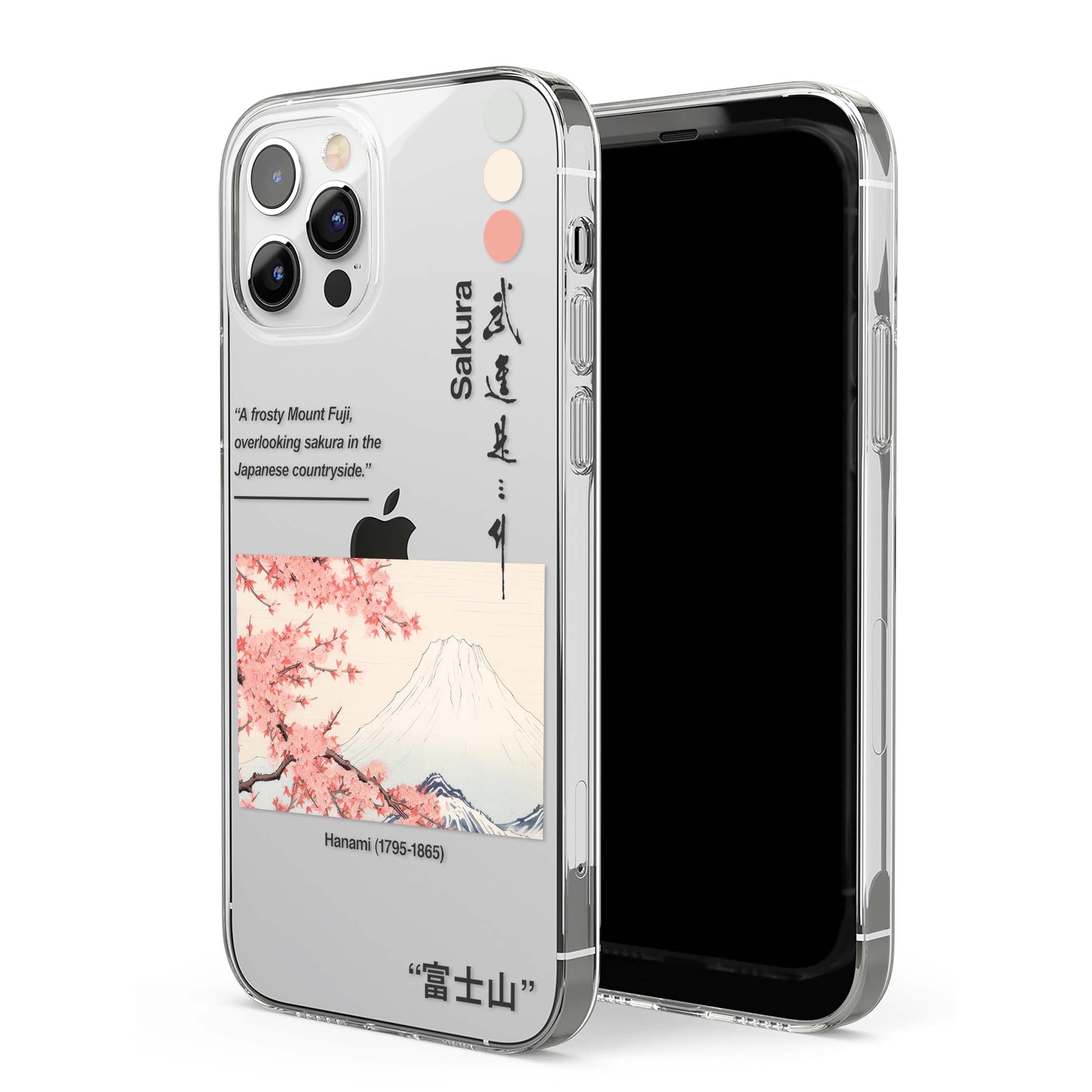 CLEAR CASE