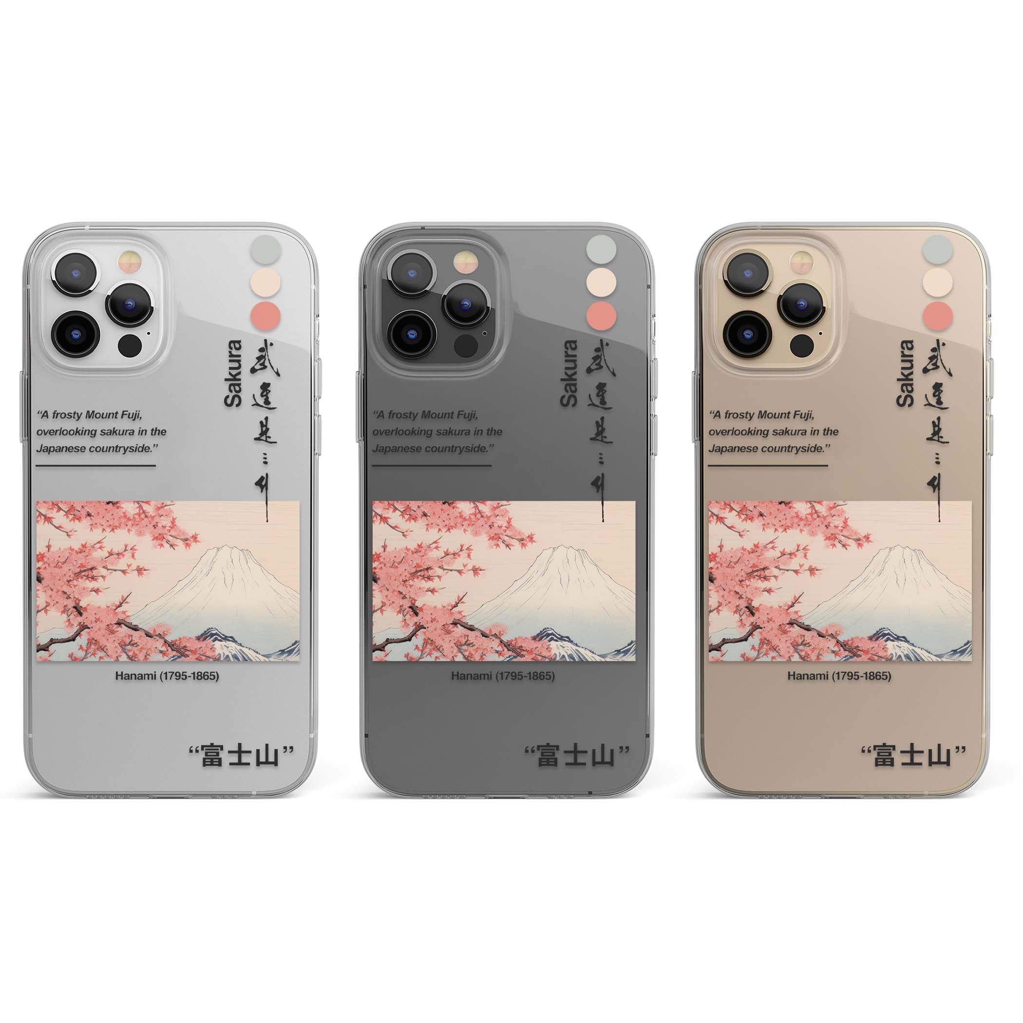 CLEAR CASE
