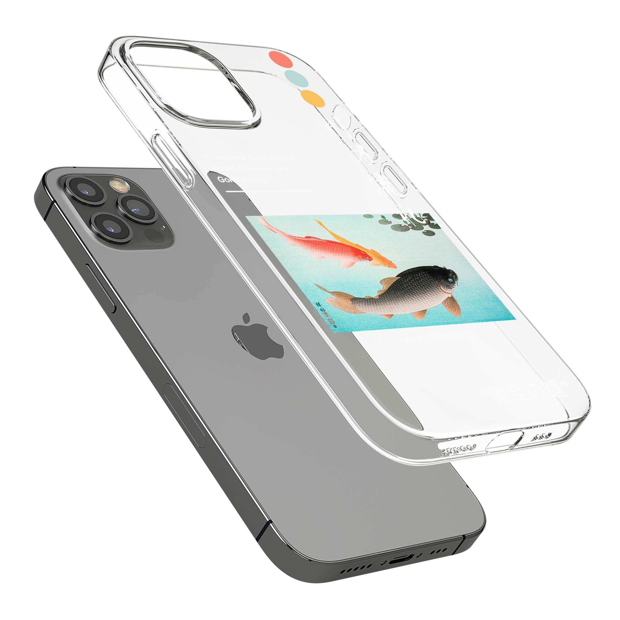 CLEAR CASE