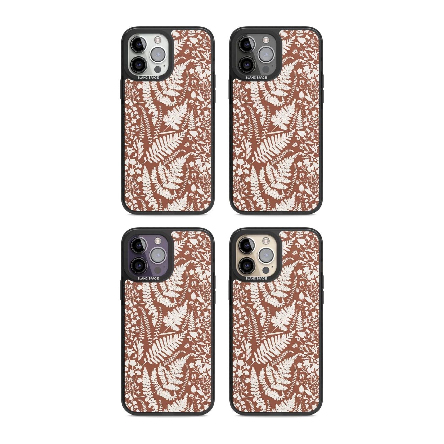 Wildflowers And Ferns On Terracotta