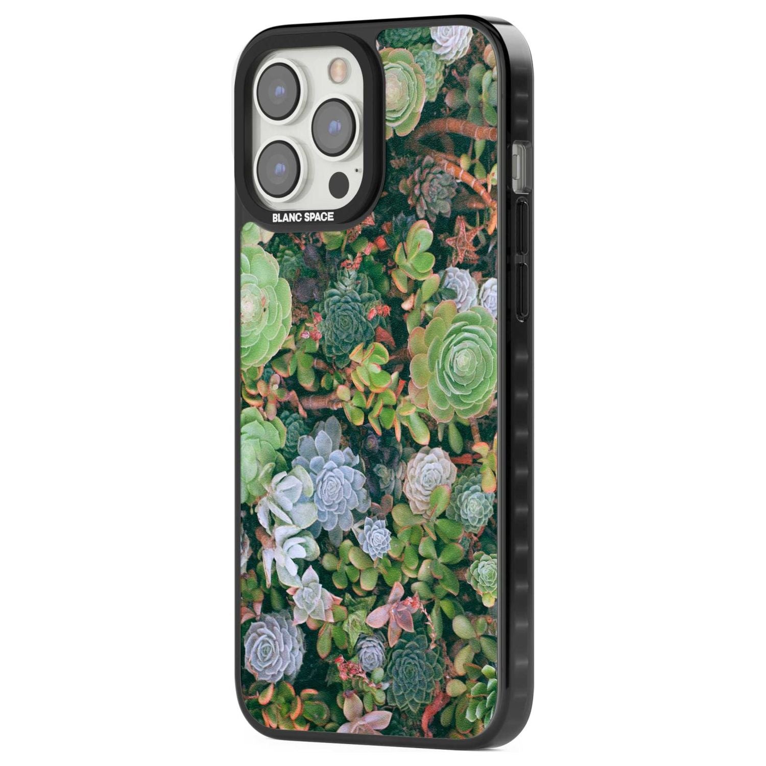 Colourful Succulents Phone Case iPhone 15 Pro Max / Black Impact Case,iPhone 15 Plus / Black Impact Case,iPhone 15 Pro / Black Impact Case,iPhone 15 / Black Impact Case,iPhone 15 Pro Max / Impact Case,iPhone 15 Plus / Impact Case,iPhone 15 Pro / Impact Case,iPhone 15 / Impact Case,iPhone 15 Pro Max / Magsafe Black Impact Case,iPhone 15 Plus / Magsafe Black Impact Case,iPhone 15 Pro / Magsafe Black Impact Case,iPhone 15 / Magsafe Black Impact Case,iPhone 14 Pro Max / Black Impact Case,iPhone 14 Plus / Black