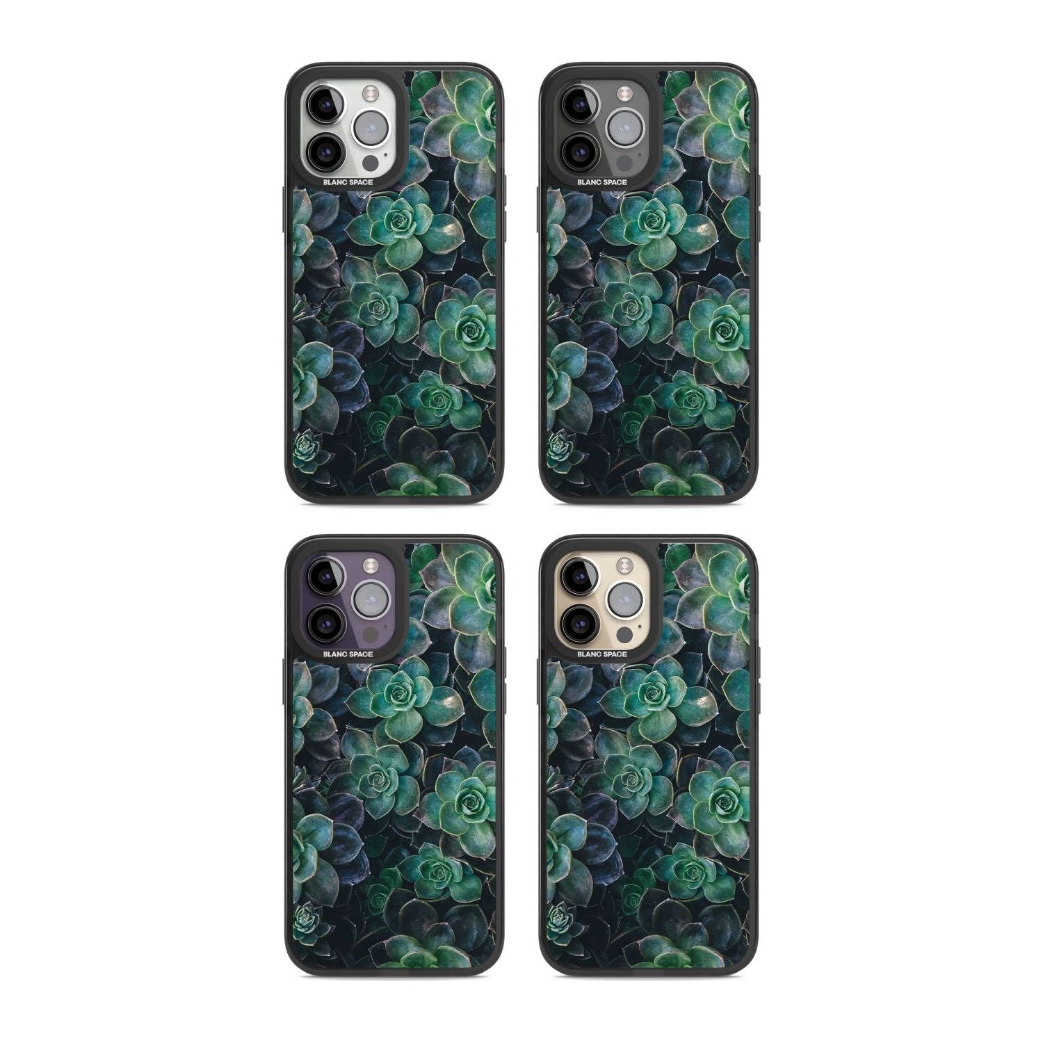 Succulent Bloom Botanical