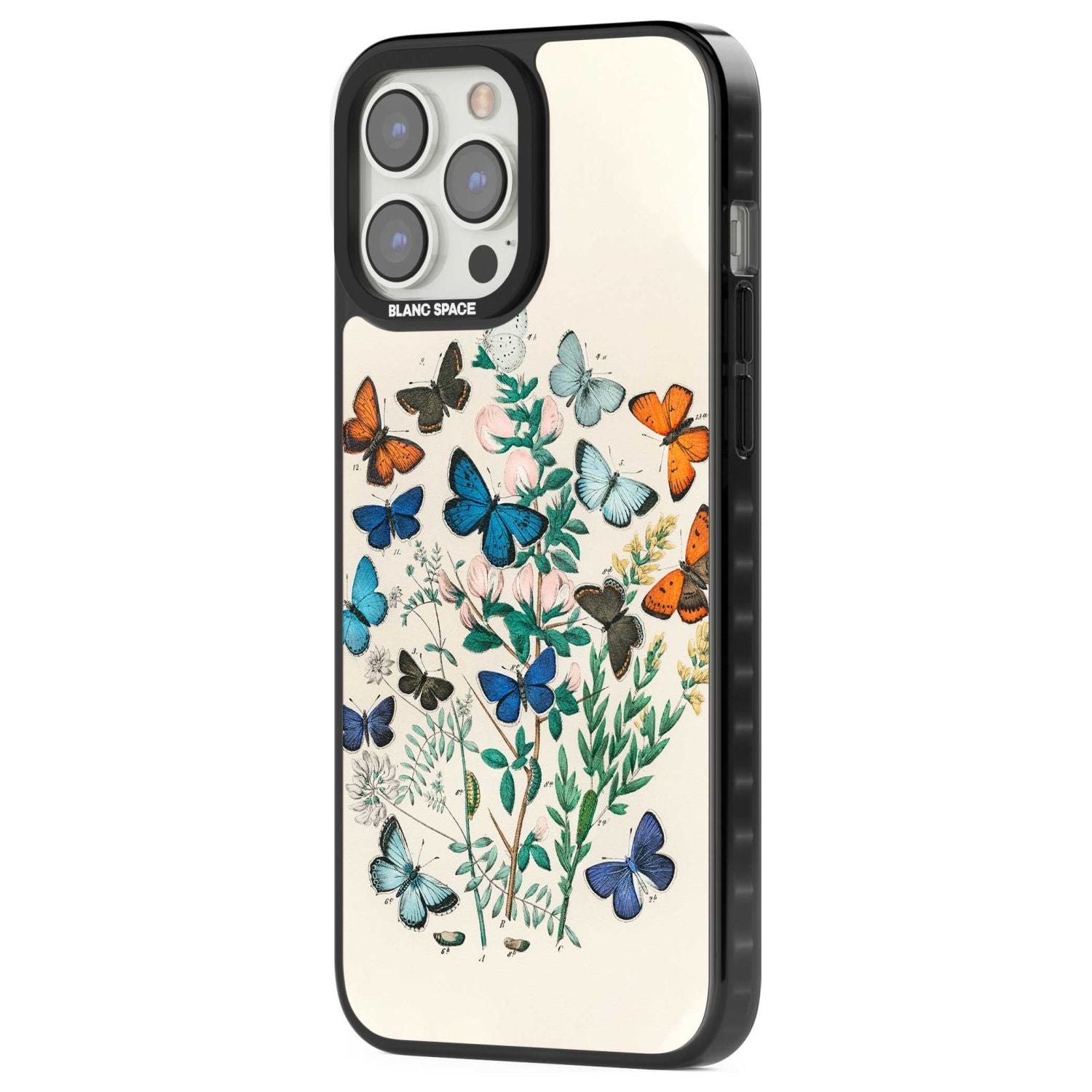 European Butterflies Phone Case iPhone 15 Pro Max / Black Impact Case,iPhone 15 Plus / Black Impact Case,iPhone 15 Pro / Black Impact Case,iPhone 15 / Black Impact Case,iPhone 15 Pro Max / Impact Case,iPhone 15 Plus / Impact Case,iPhone 15 Pro / Impact Case,iPhone 15 / Impact Case,iPhone 15 Pro Max / Magsafe Black Impact Case,iPhone 15 Plus / Magsafe Black Impact Case,iPhone 15 Pro / Magsafe Black Impact Case,iPhone 15 / Magsafe Black Impact Case,iPhone 14 Pro Max / Black Impact Case,iPhone 14 Plus / Black