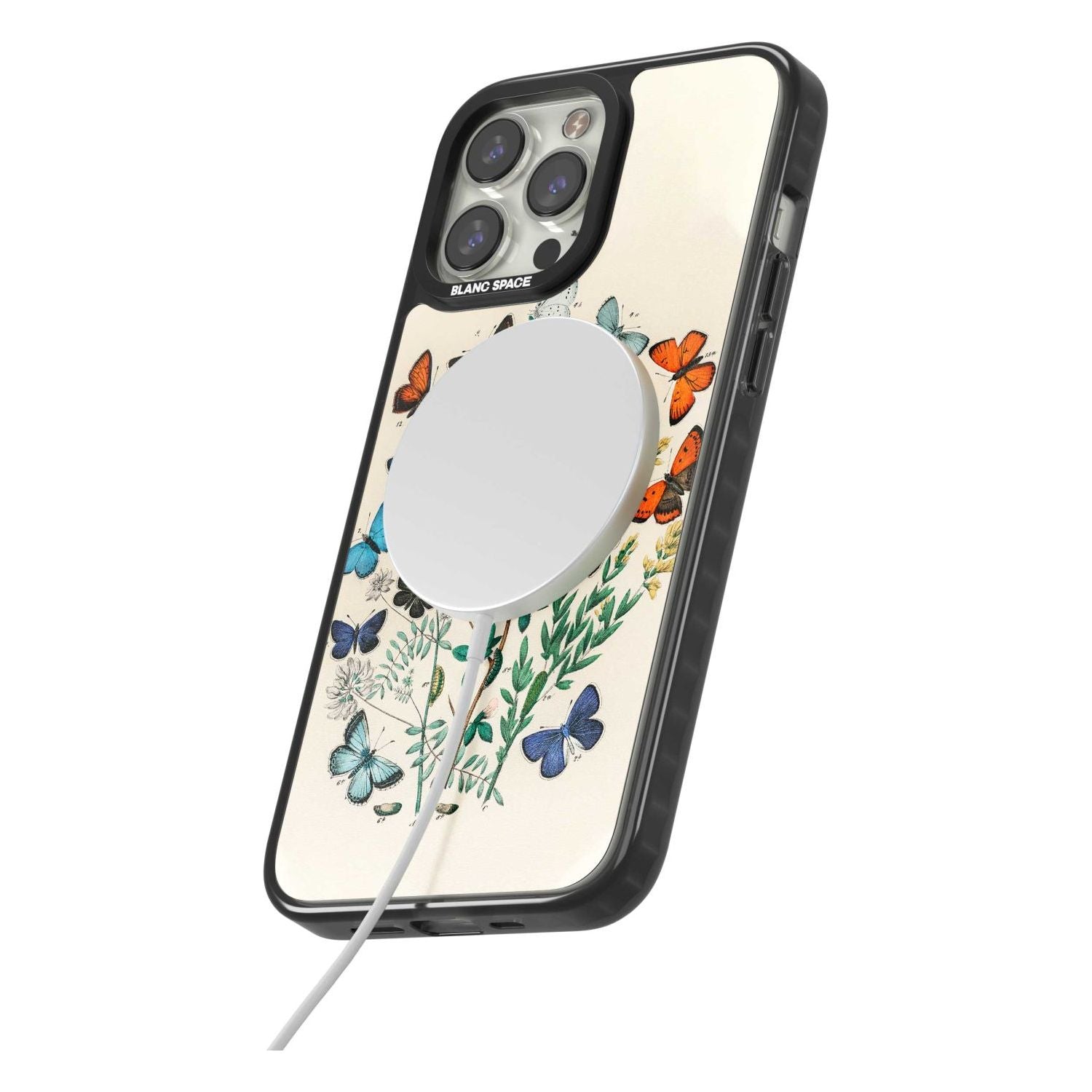 European Butterflies Phone Case iPhone 15 Pro Max / Black Impact Case,iPhone 15 Plus / Black Impact Case,iPhone 15 Pro / Black Impact Case,iPhone 15 / Black Impact Case,iPhone 15 Pro Max / Impact Case,iPhone 15 Plus / Impact Case,iPhone 15 Pro / Impact Case,iPhone 15 / Impact Case,iPhone 15 Pro Max / Magsafe Black Impact Case,iPhone 15 Plus / Magsafe Black Impact Case,iPhone 15 Pro / Magsafe Black Impact Case,iPhone 15 / Magsafe Black Impact Case,iPhone 14 Pro Max / Black Impact Case,iPhone 14 Plus / Black