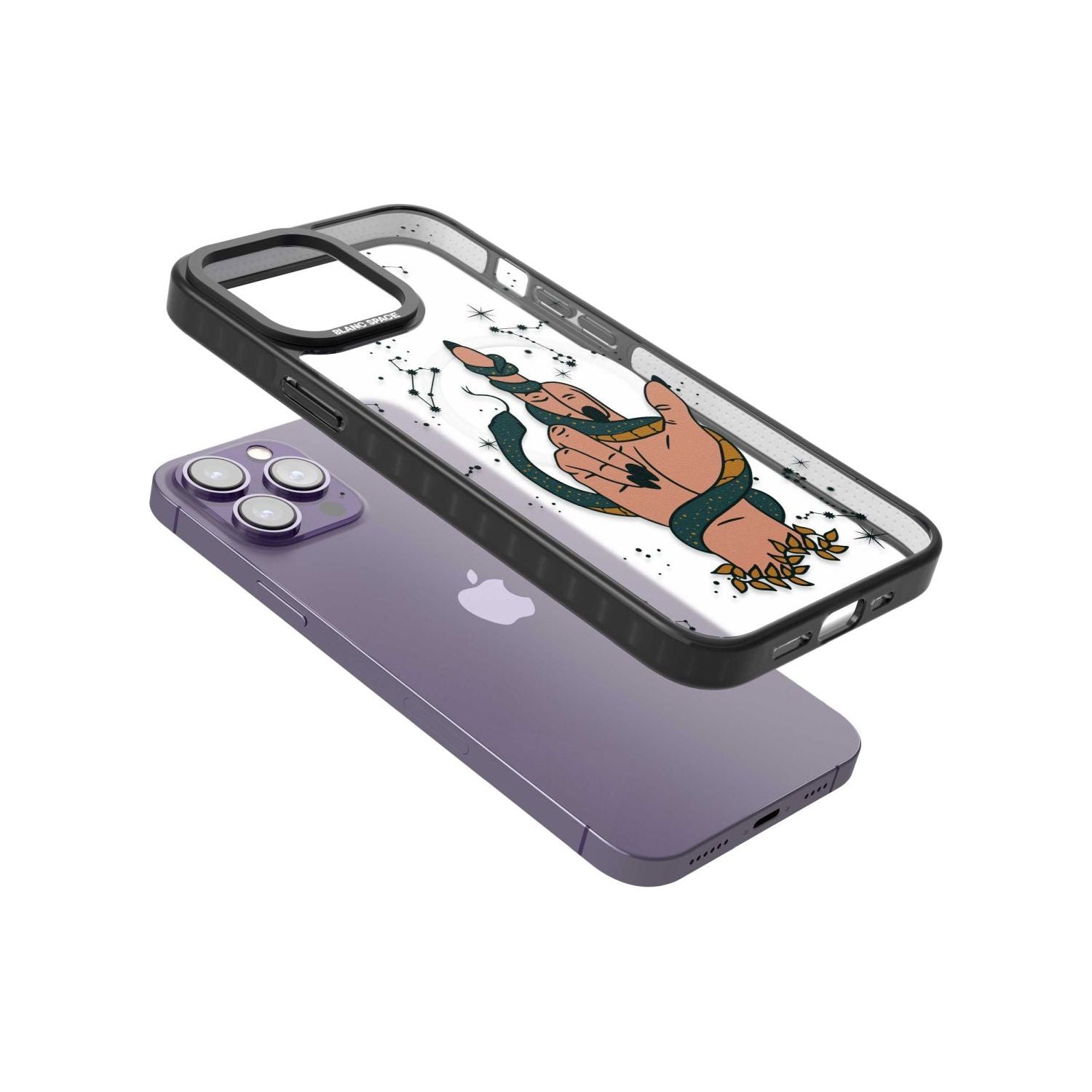 Snakes, Stars And Cynicism