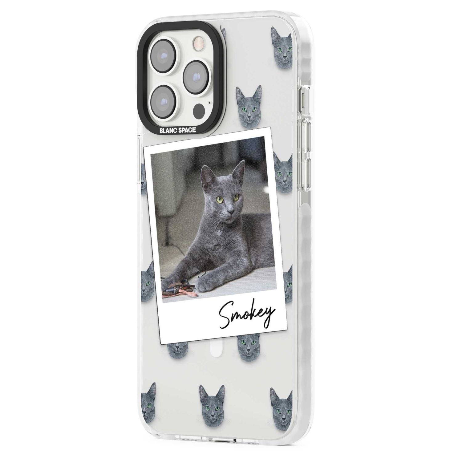 Personalised Korat Cat Photo