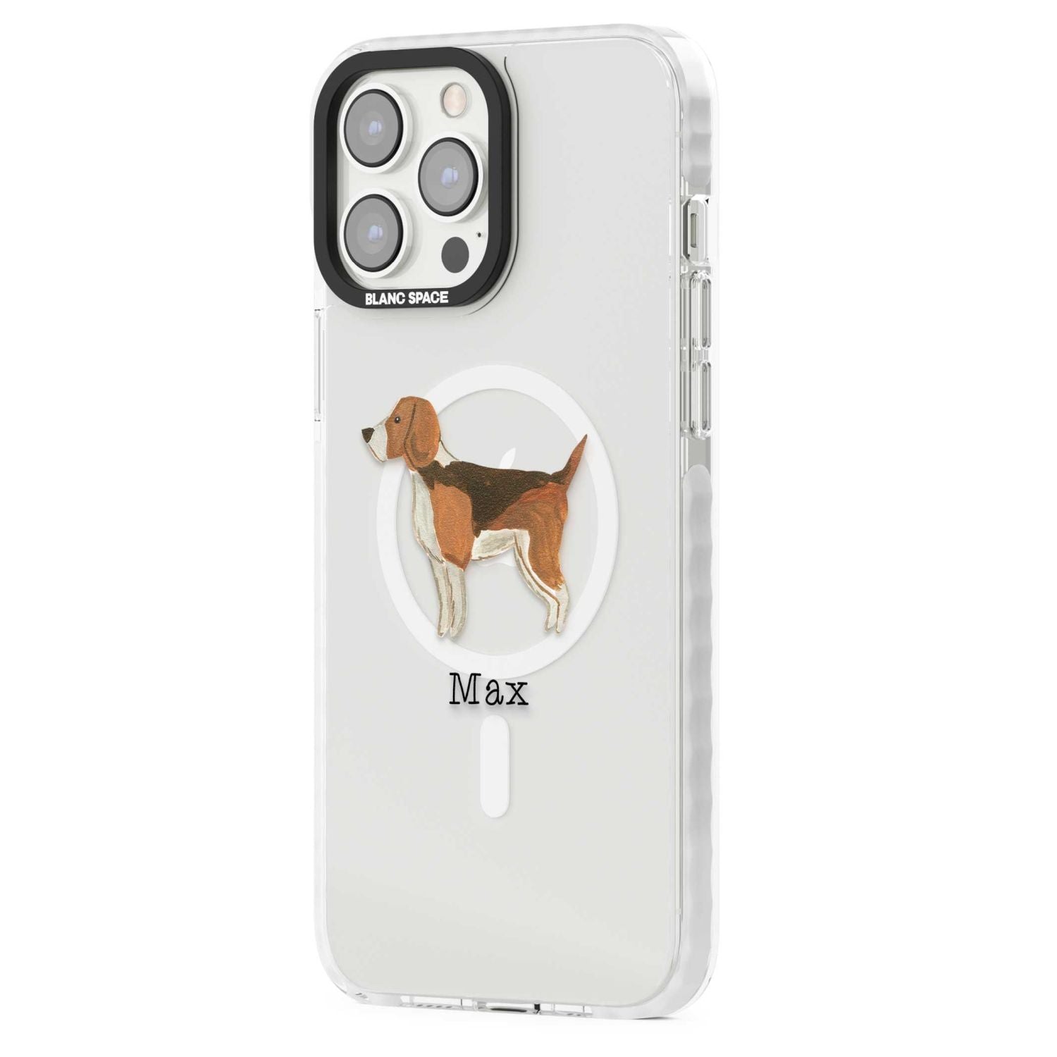 Personalised Beagle