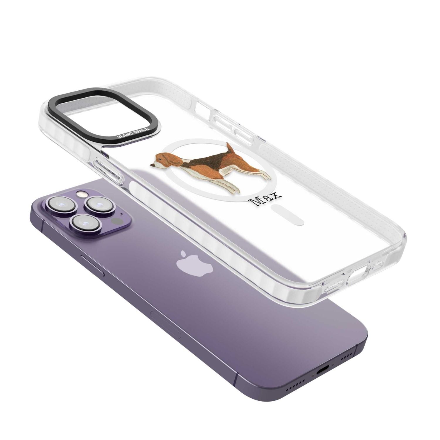 Personalised Beagle