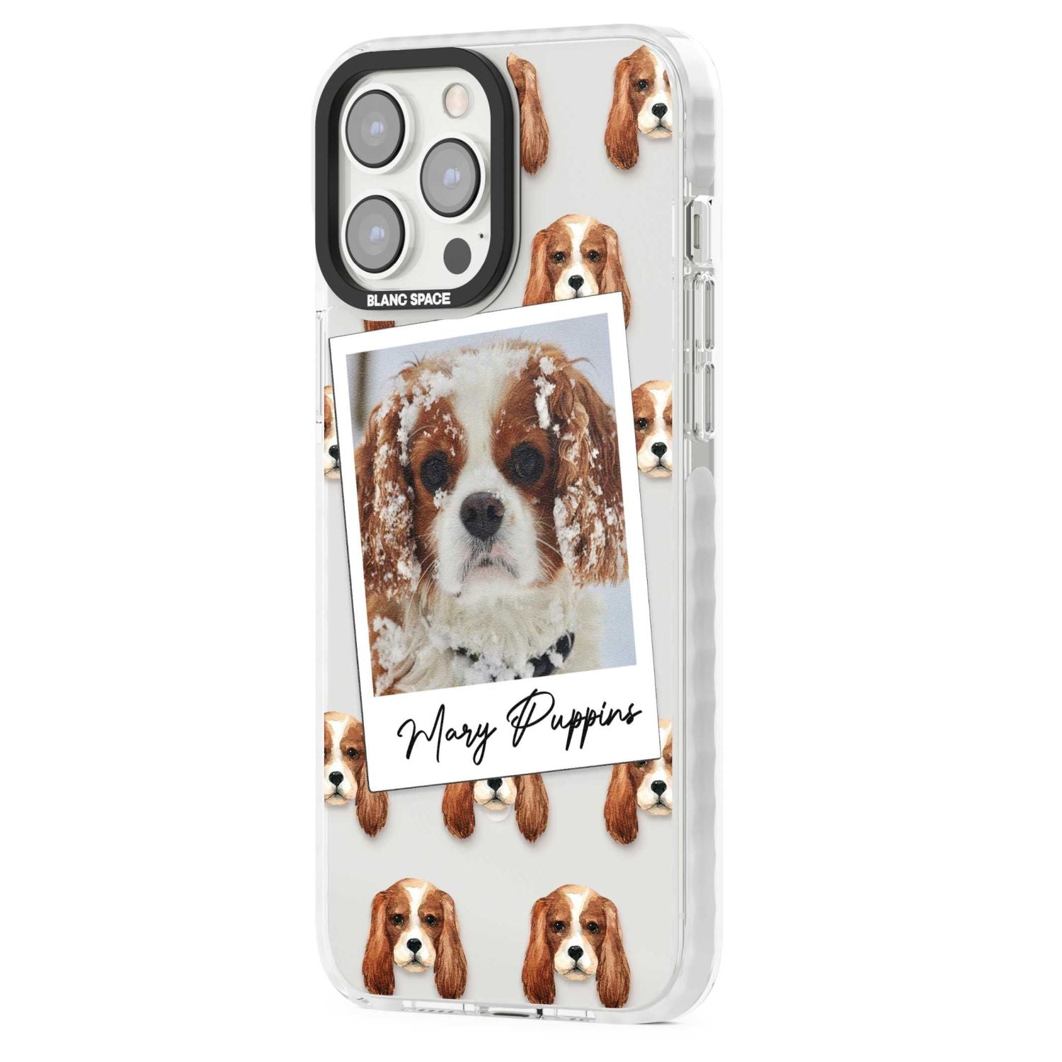 Personalised Cavalier King Charles Instant Camera Photo
