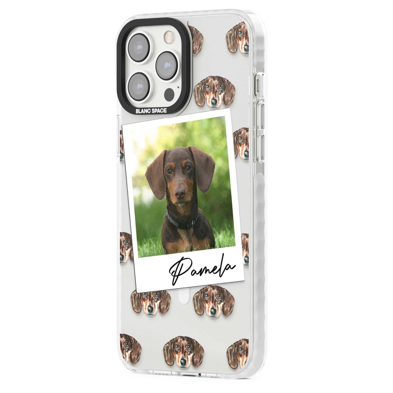 Personalised Brown Dachshund Instant Camera Photo