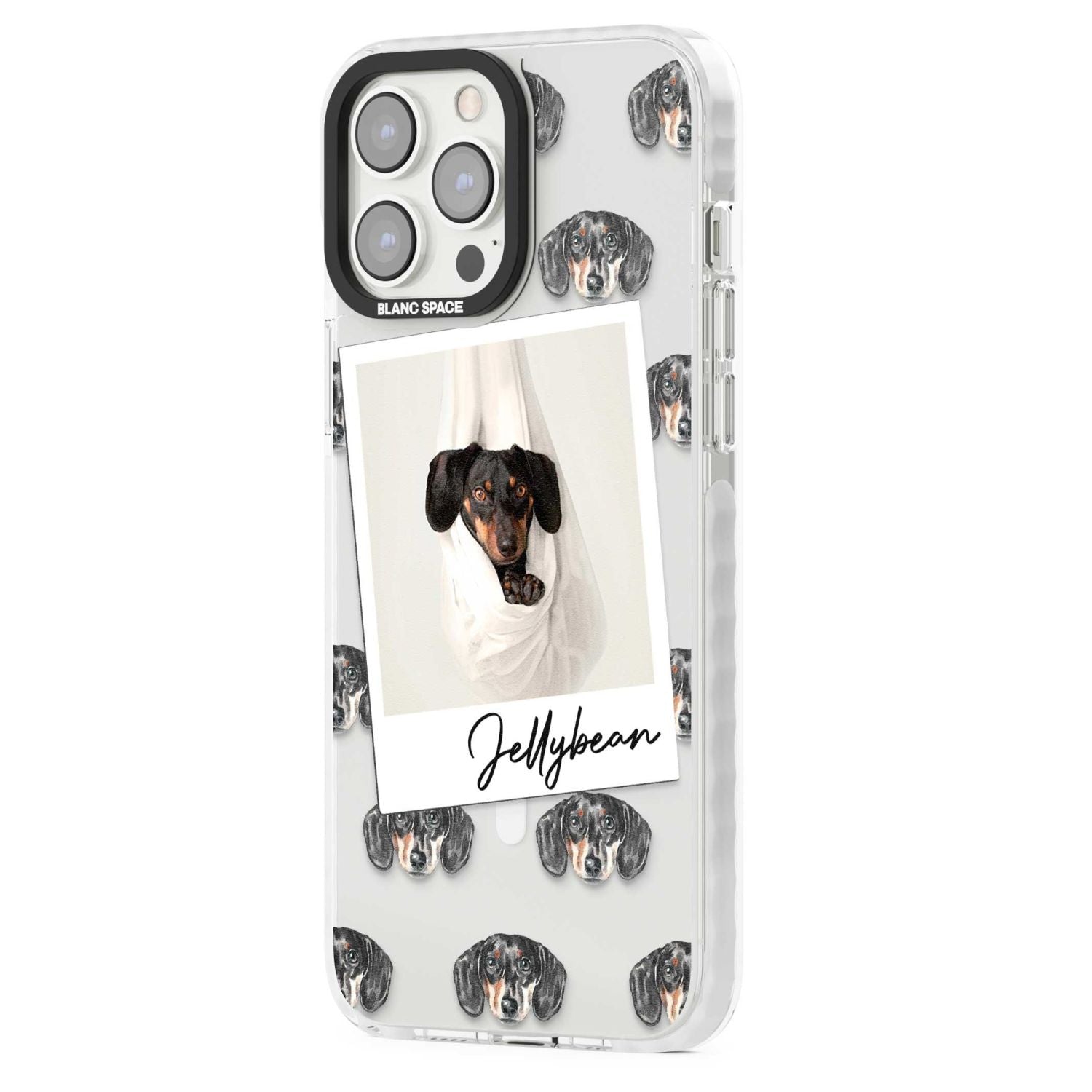 Personalised Black Dachshund Instant Camera Photo