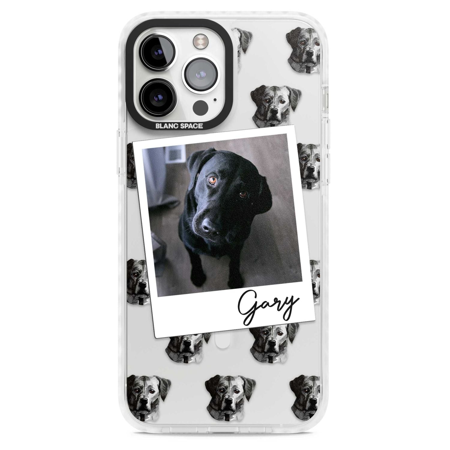 Personalised Black Labrador Instant Camera Photo