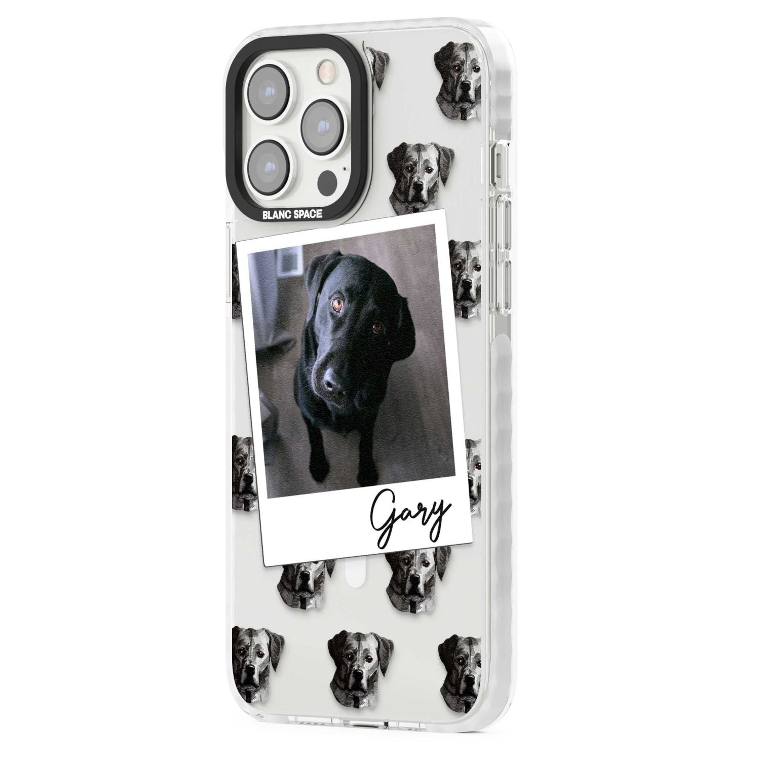 Personalised Black Labrador Instant Camera Photo