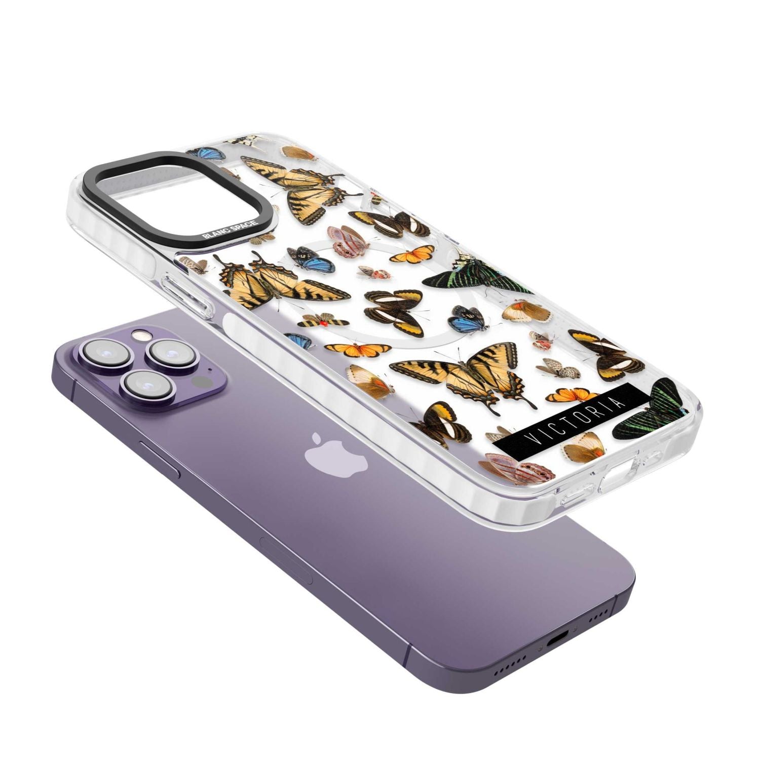 Personalised Butterfly Archive