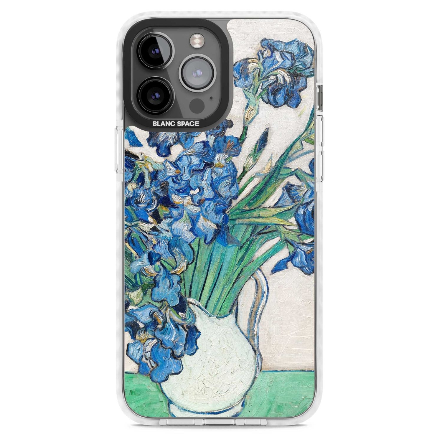 Irises By Vincent Van Gogh