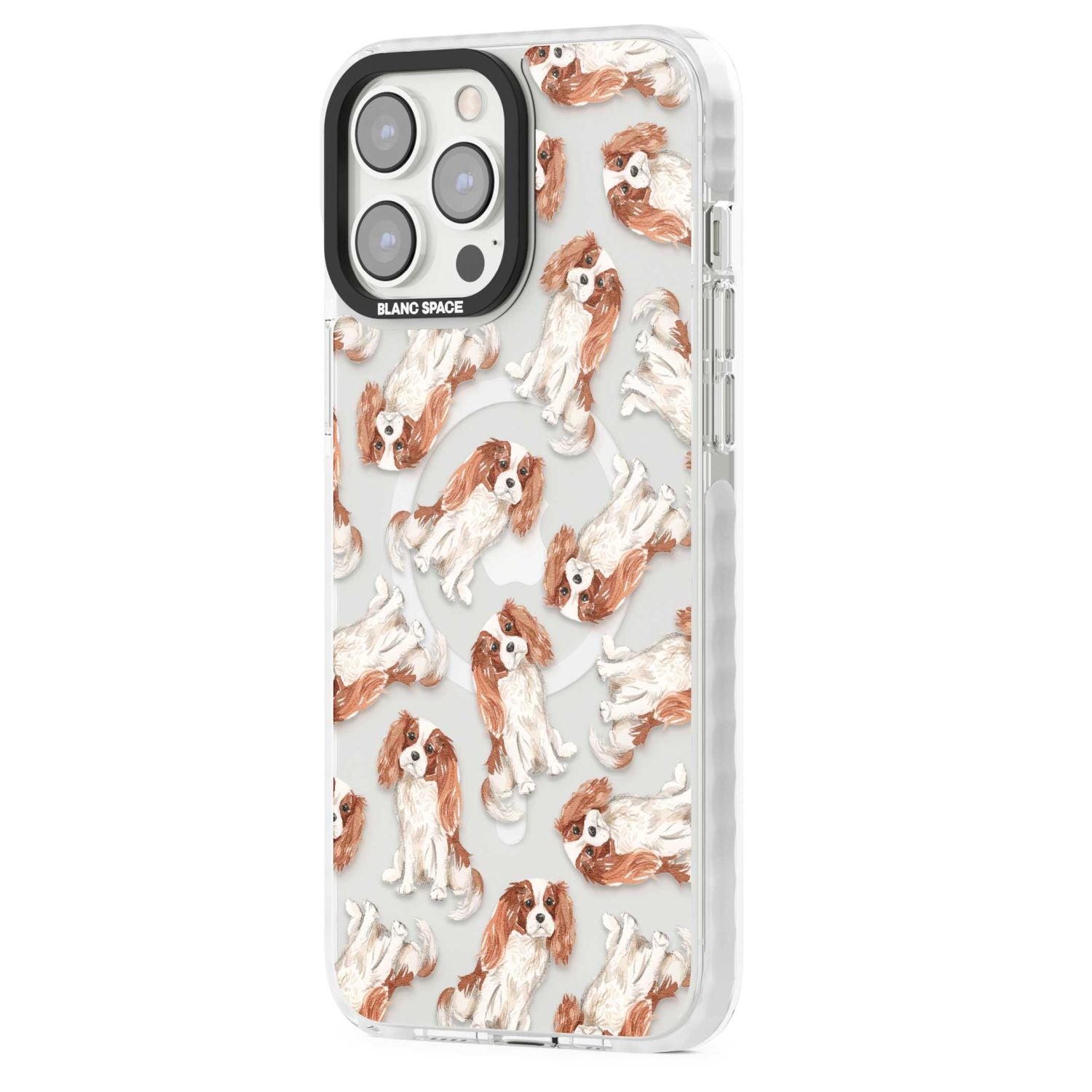 Cavalier King Charles Spaniel