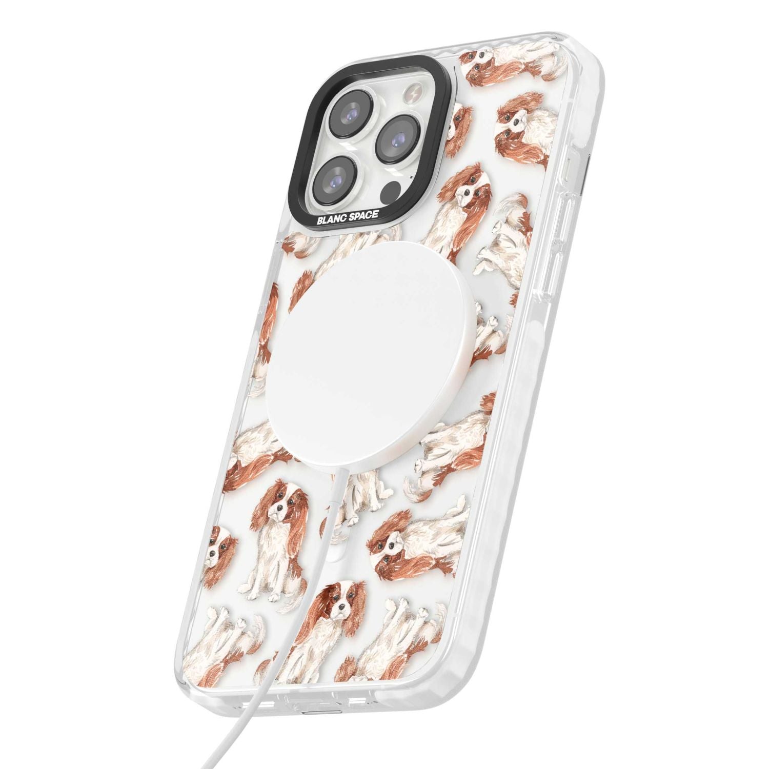 Cavalier King Charles Spaniel