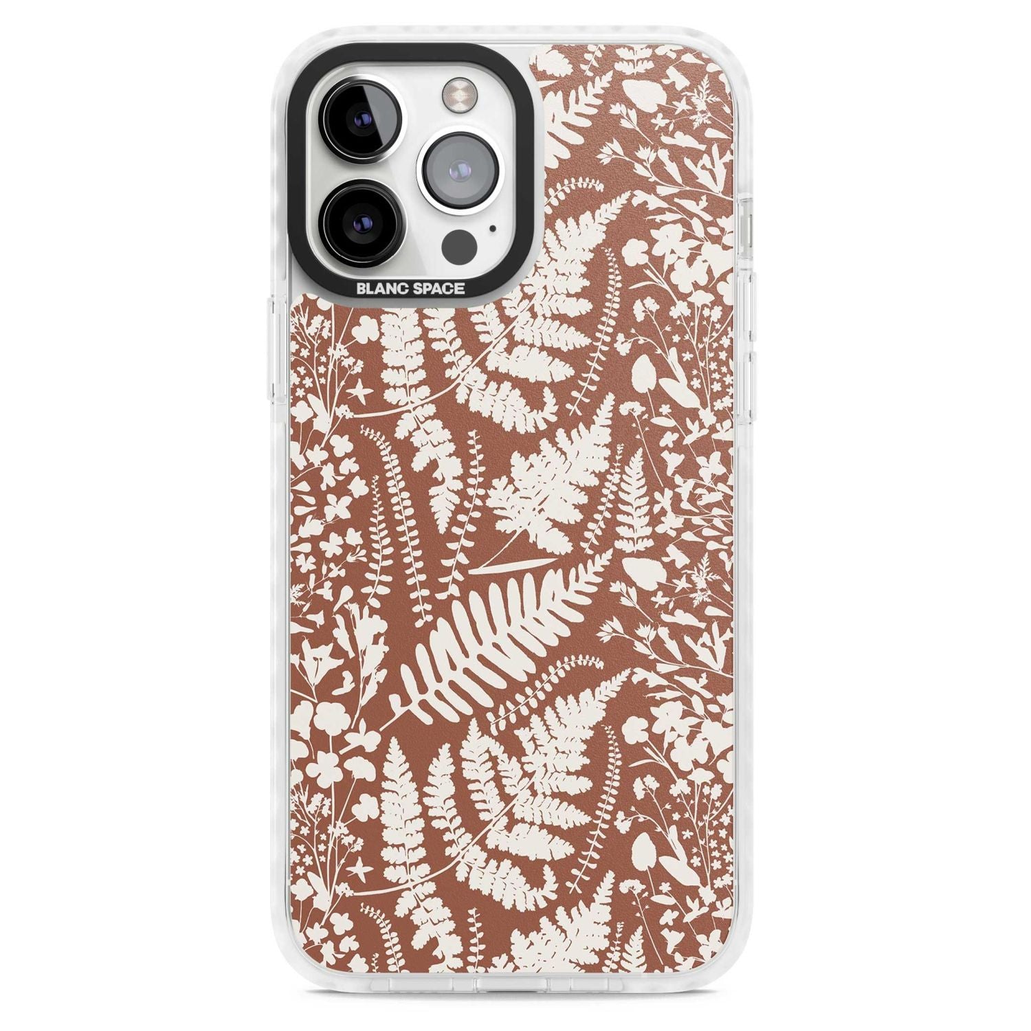 Wildflowers And Ferns On Terracotta