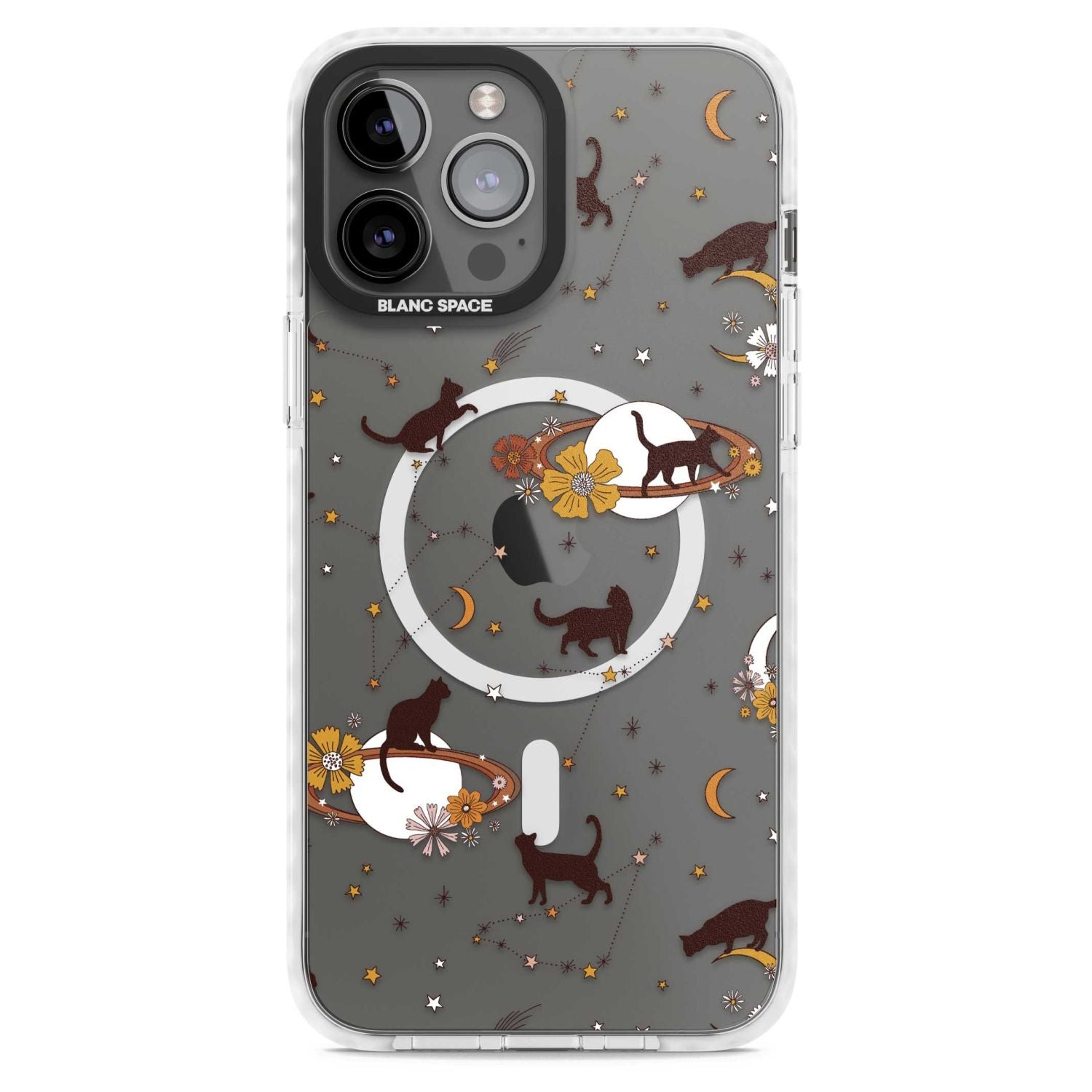 Halloween Cats And Astrology