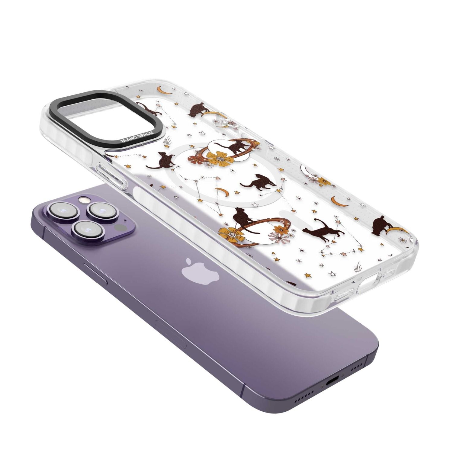 Halloween Cats And Astrology