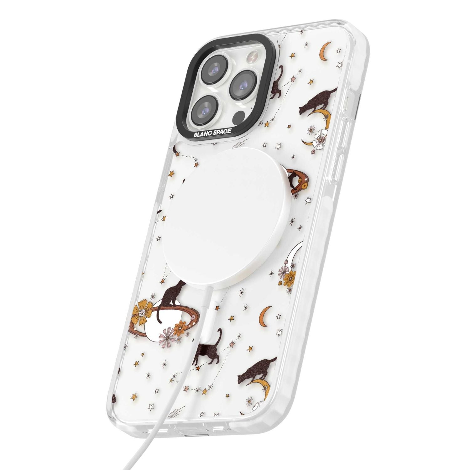 Halloween Cats And Astrology