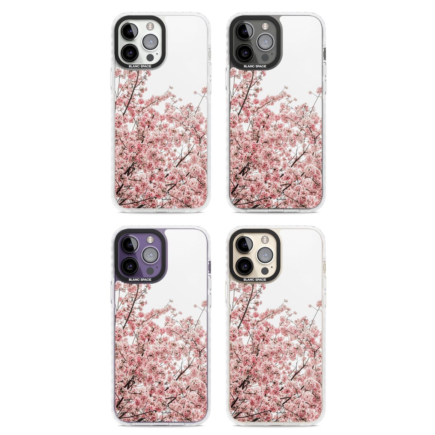 Cherry Blossom Bloom