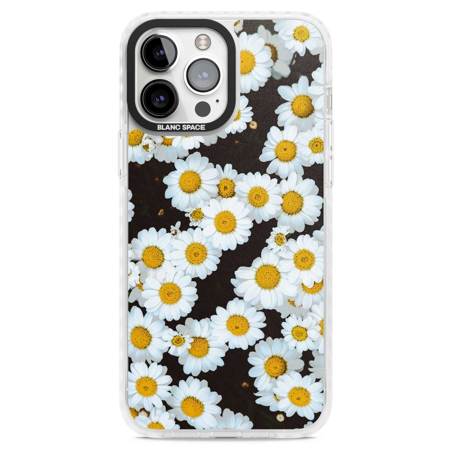 Daisy Dream