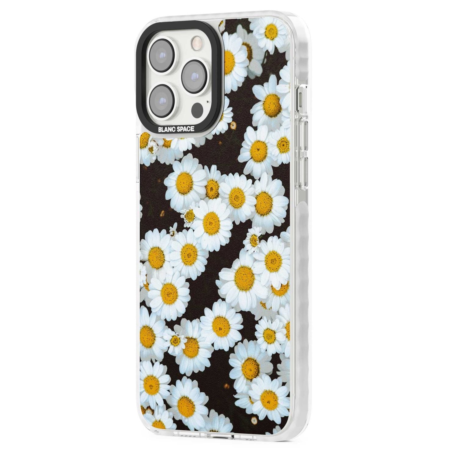 Daisy Dream