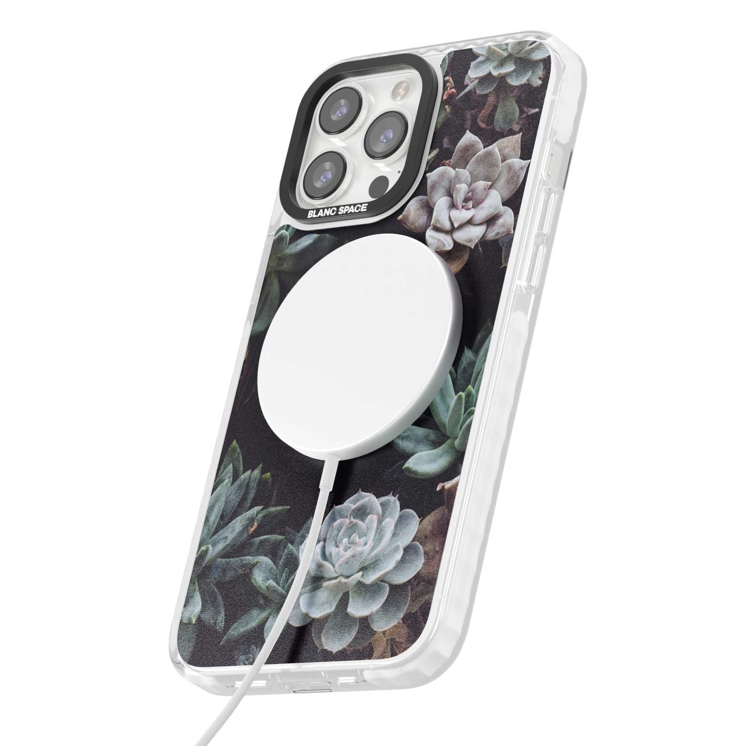 Succulent Bloom Mixed