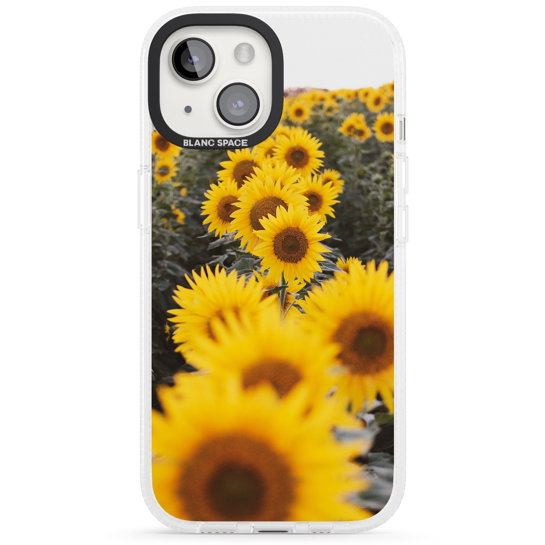 Sunflower Field