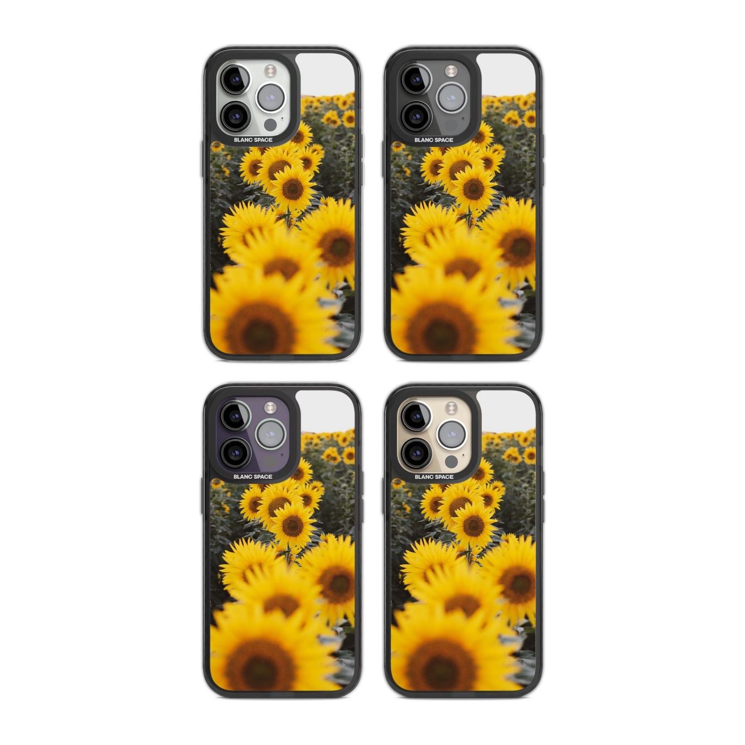 Sunflower Field