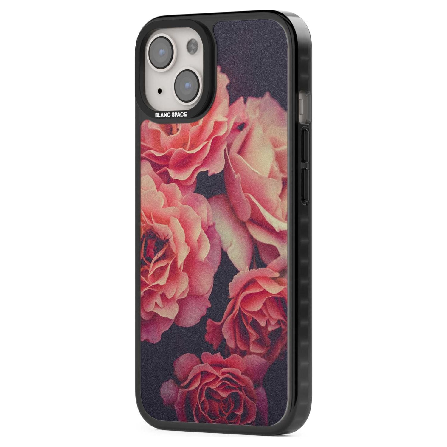 Midnight Rose Bloom