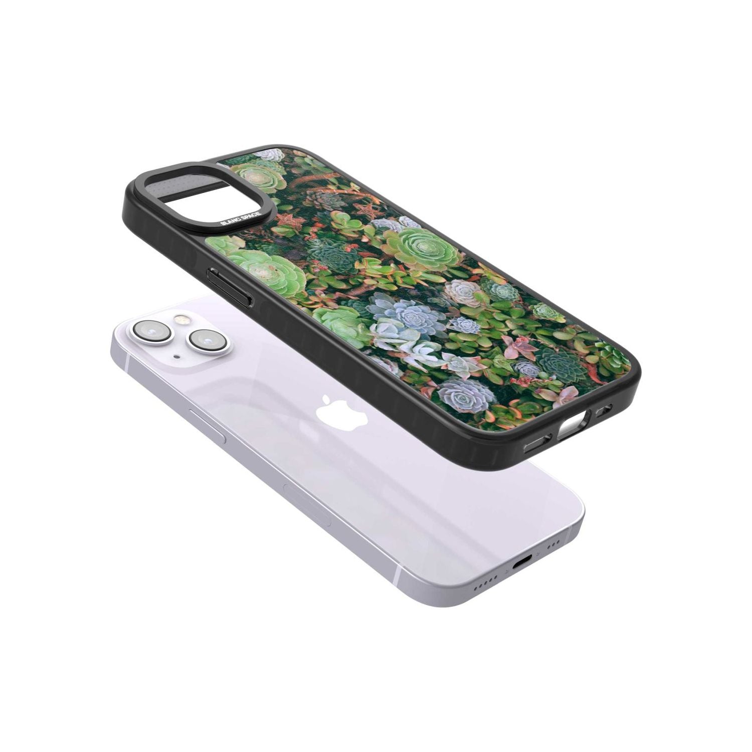 Colourful Succulents Phone Case iPhone 15 Pro Max / Black Impact Case,iPhone 15 Plus / Black Impact Case,iPhone 15 Pro / Black Impact Case,iPhone 15 / Black Impact Case,iPhone 15 Pro Max / Impact Case,iPhone 15 Plus / Impact Case,iPhone 15 Pro / Impact Case,iPhone 15 / Impact Case,iPhone 15 Pro Max / Magsafe Black Impact Case,iPhone 15 Plus / Magsafe Black Impact Case,iPhone 15 Pro / Magsafe Black Impact Case,iPhone 15 / Magsafe Black Impact Case,iPhone 14 Pro Max / Black Impact Case,iPhone 14 Plus / Black