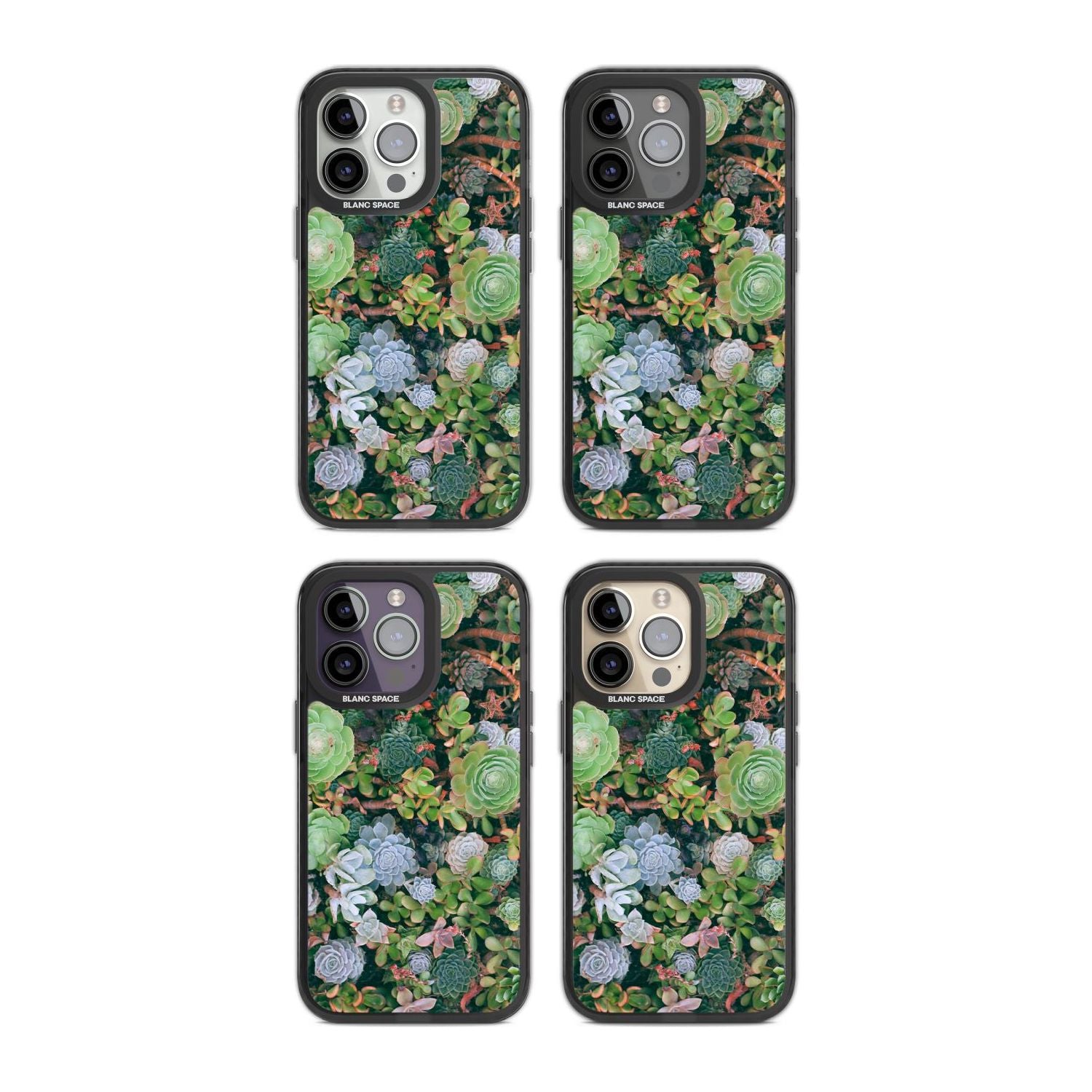 Colourful Succulents Phone Case iPhone 15 Pro Max / Black Impact Case,iPhone 15 Plus / Black Impact Case,iPhone 15 Pro / Black Impact Case,iPhone 15 / Black Impact Case,iPhone 15 Pro Max / Impact Case,iPhone 15 Plus / Impact Case,iPhone 15 Pro / Impact Case,iPhone 15 / Impact Case,iPhone 15 Pro Max / Magsafe Black Impact Case,iPhone 15 Plus / Magsafe Black Impact Case,iPhone 15 Pro / Magsafe Black Impact Case,iPhone 15 / Magsafe Black Impact Case,iPhone 14 Pro Max / Black Impact Case,iPhone 14 Plus / Black