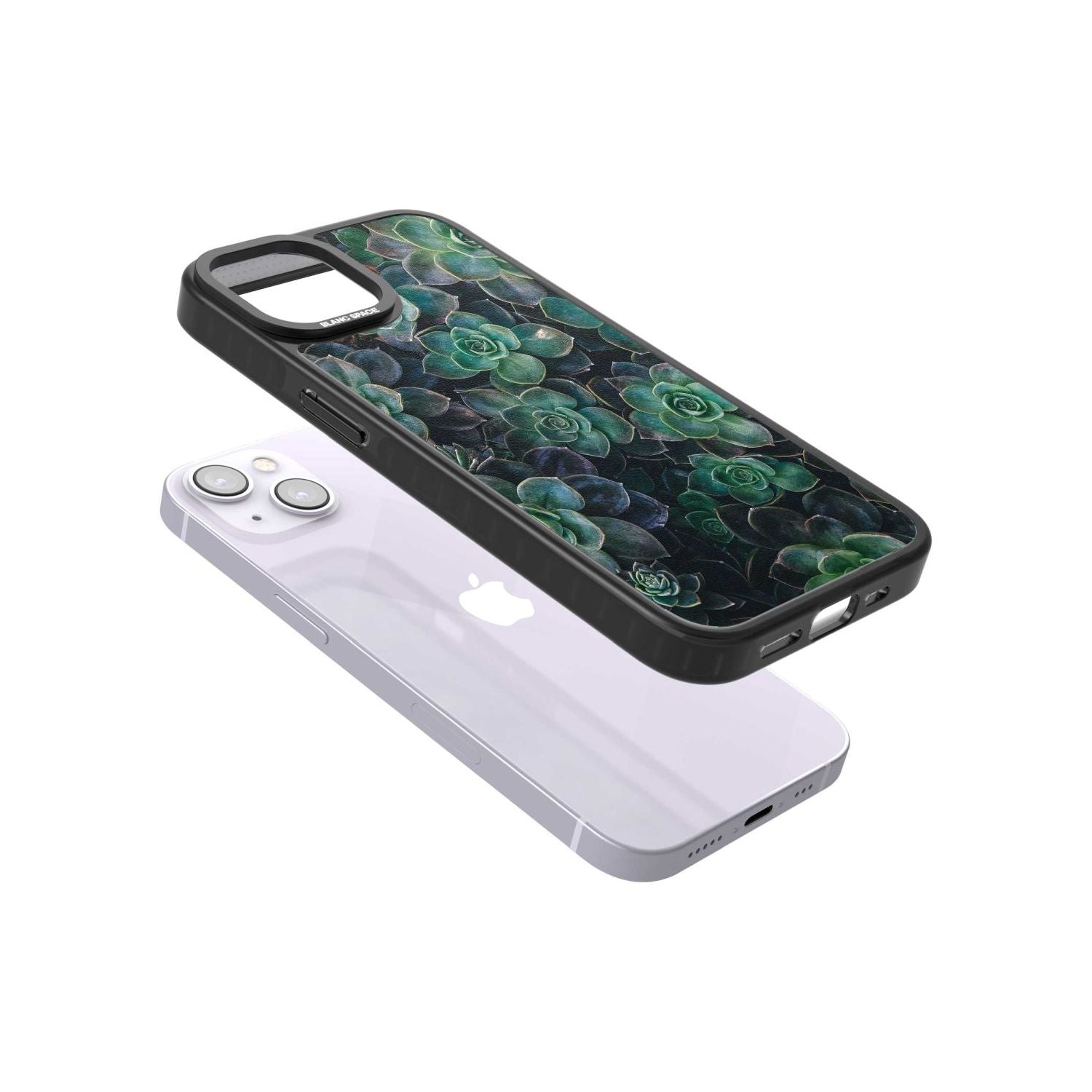 Succulent Bloom Botanical