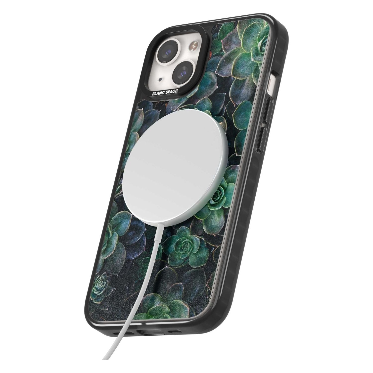 Succulent Bloom Botanical