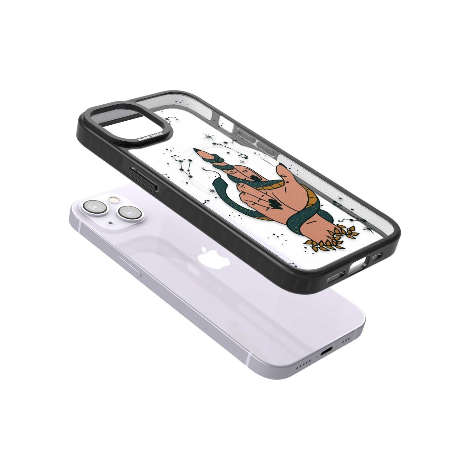 Snakes, Stars And Cynicism