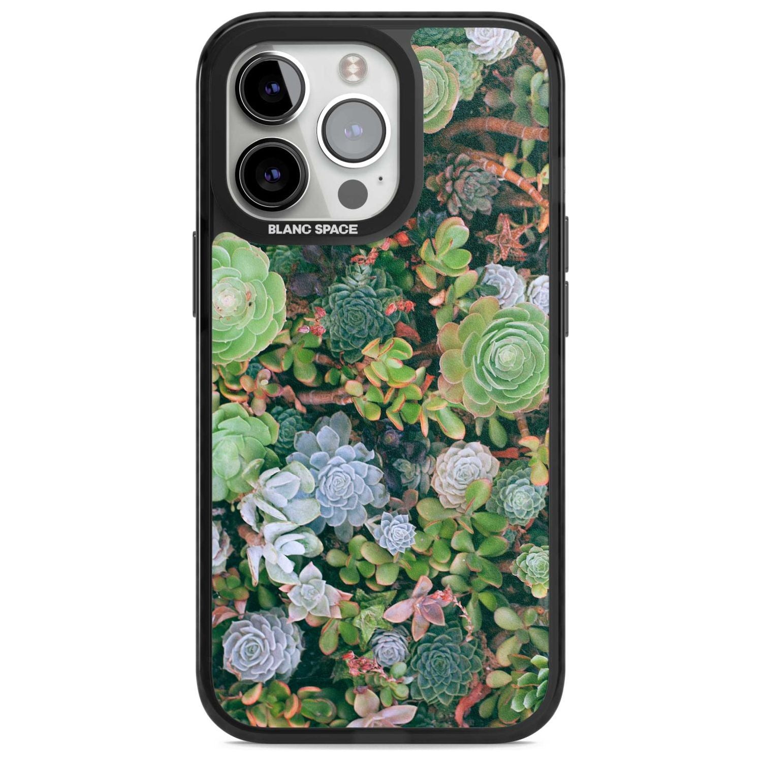 Colourful Succulents Phone Case iPhone 15 Pro Max / Magsafe Black Impact Case,iPhone 15 Pro / Magsafe Black Impact Case,iPhone 14 Pro Max / Magsafe Black Impact Case,iPhone 14 Pro / Magsafe Black Impact Case,iPhone 13 Pro / Magsafe Black Impact Case Blanc Space