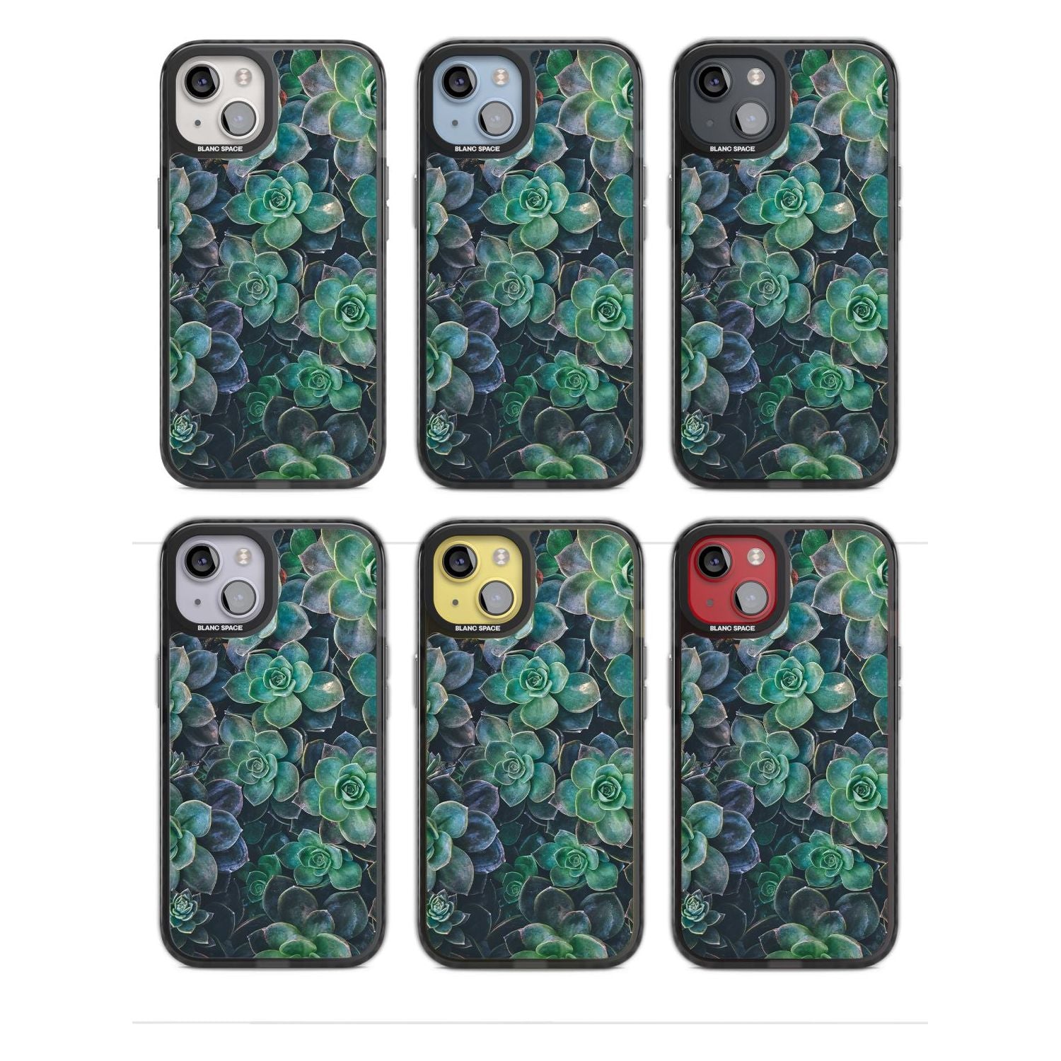 Succulent Bloom Botanical